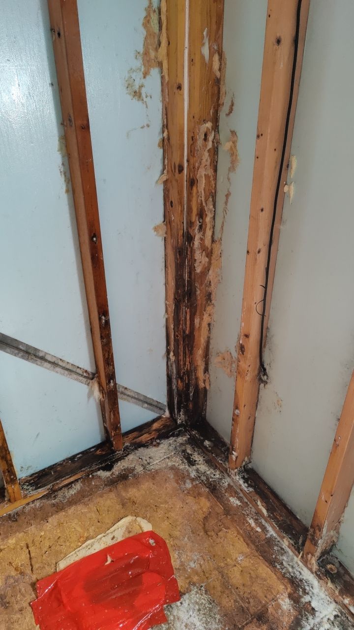 Water Damage and Mold Remediation by Accountable Home Services