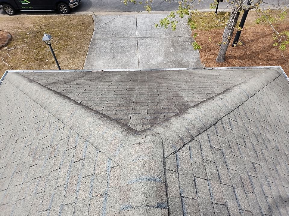 When a Tree Falls on your Roof!  by Georgia Roof Advisors