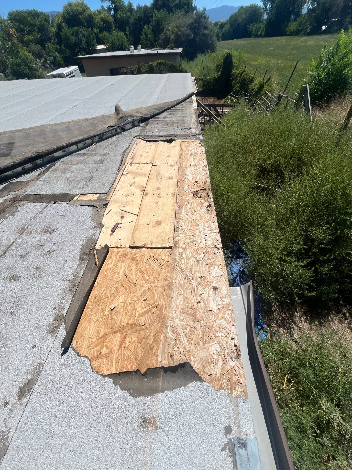 Modified Bitumane Membrane by Reimagine Roofing