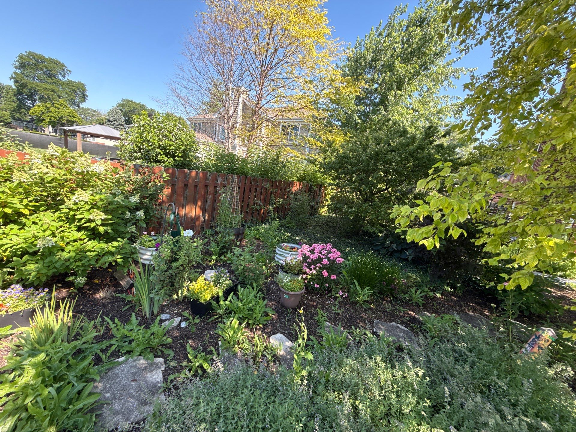 Rob M. - Arlington Heights, IL by A&N 