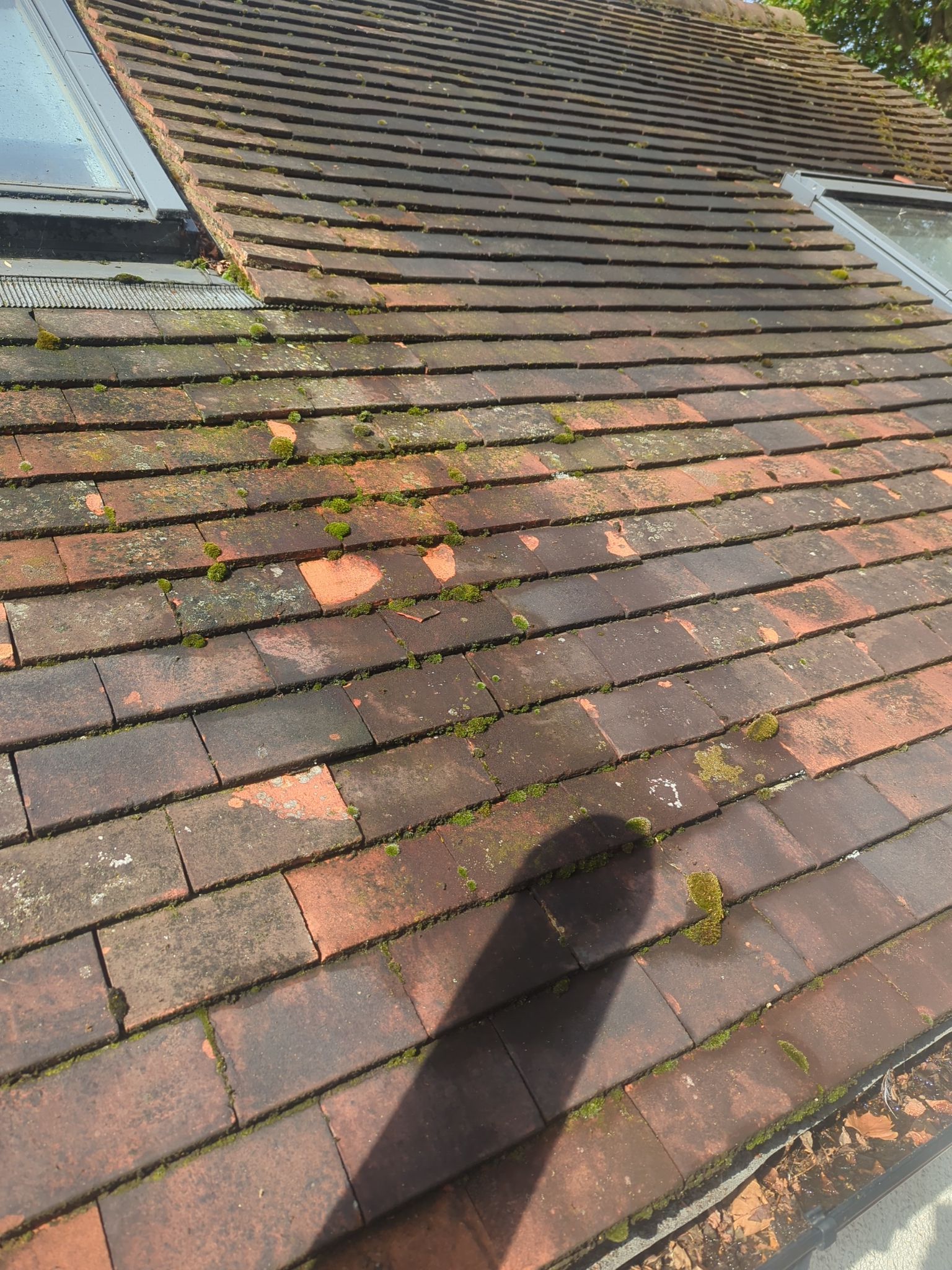 Roof Clean - Biocide Treatment using Honda 15lpm Low Pressure Washing Machine by Ges Exterior Cleaning ltd