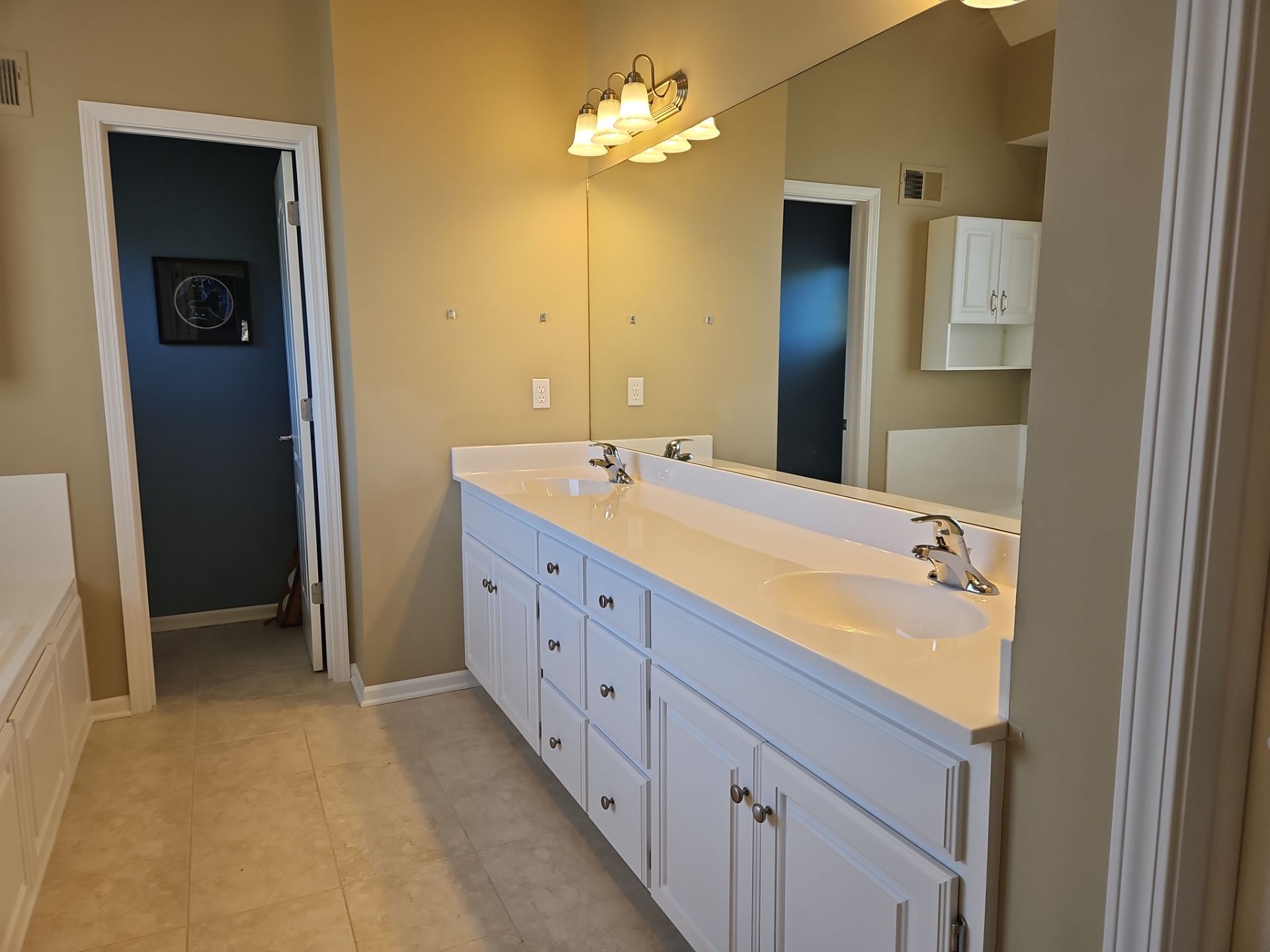 Onyx Shower and vanity top by The Shower Company