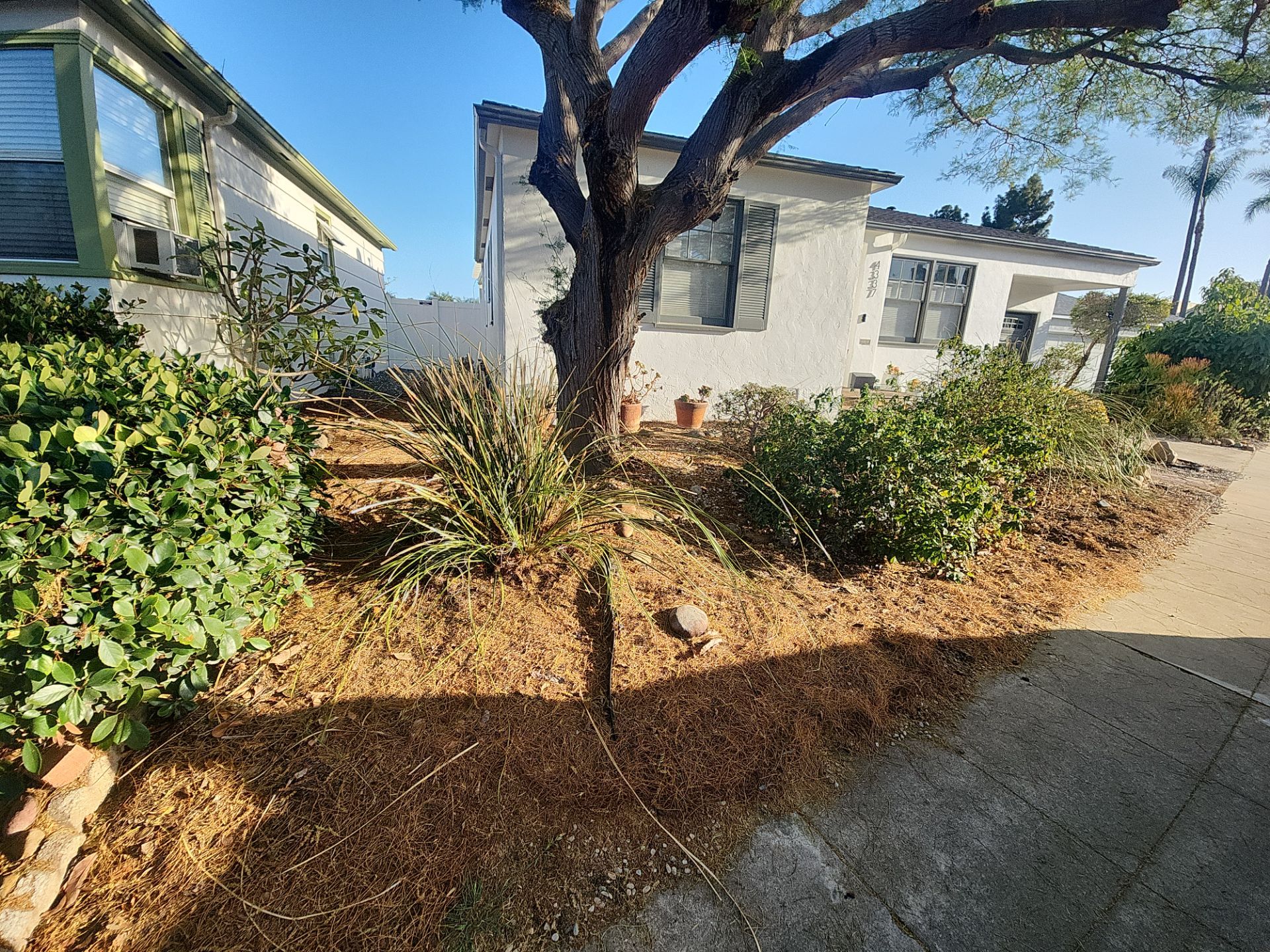 Xeriscape Transformation with River Rock and Irrigation in San Diego by Yard Techs
