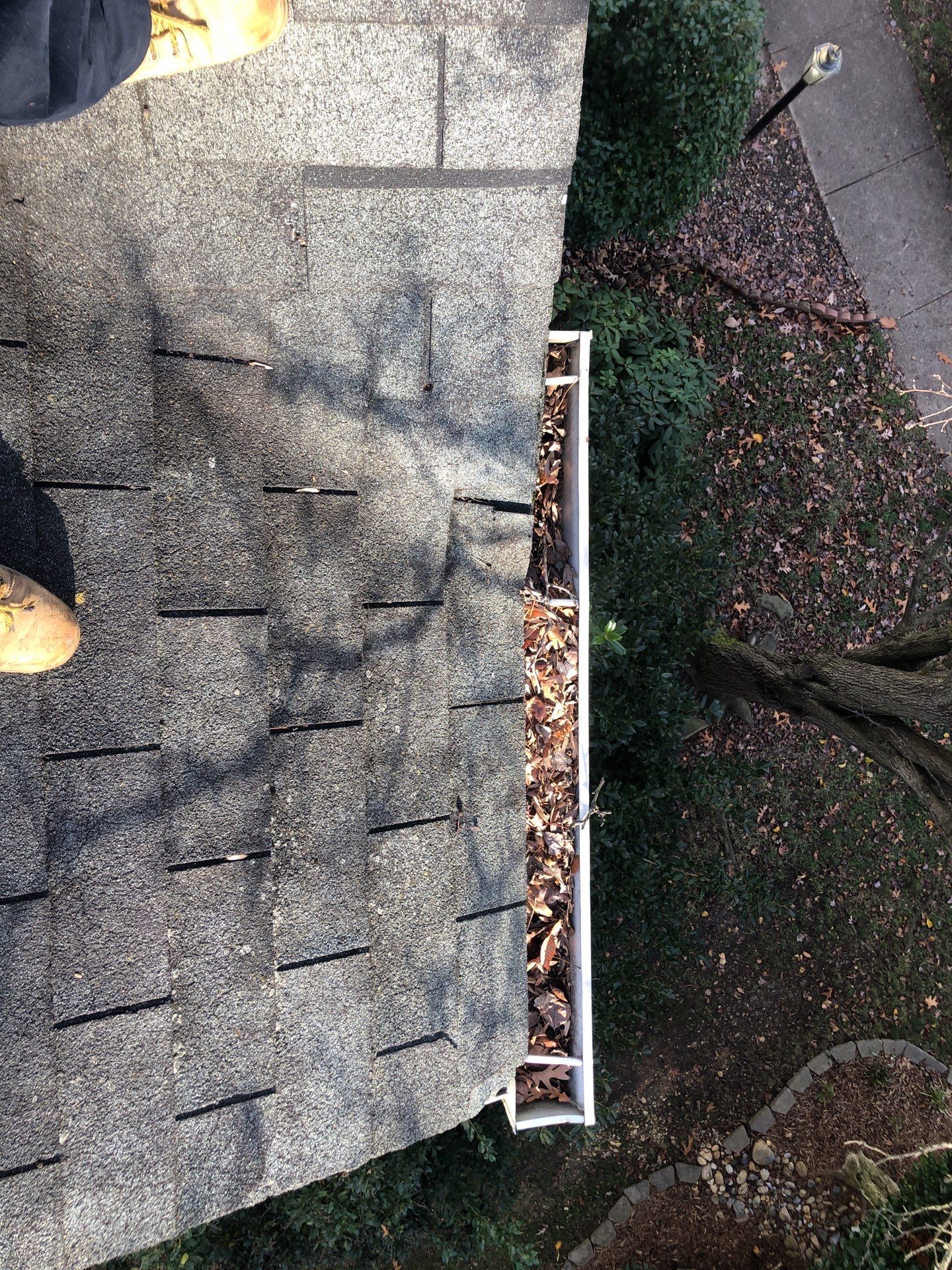 Alexandria CertainTeed Landmark Pro Roof in Max Def Pewterwood  by RM Banning, Inc.
