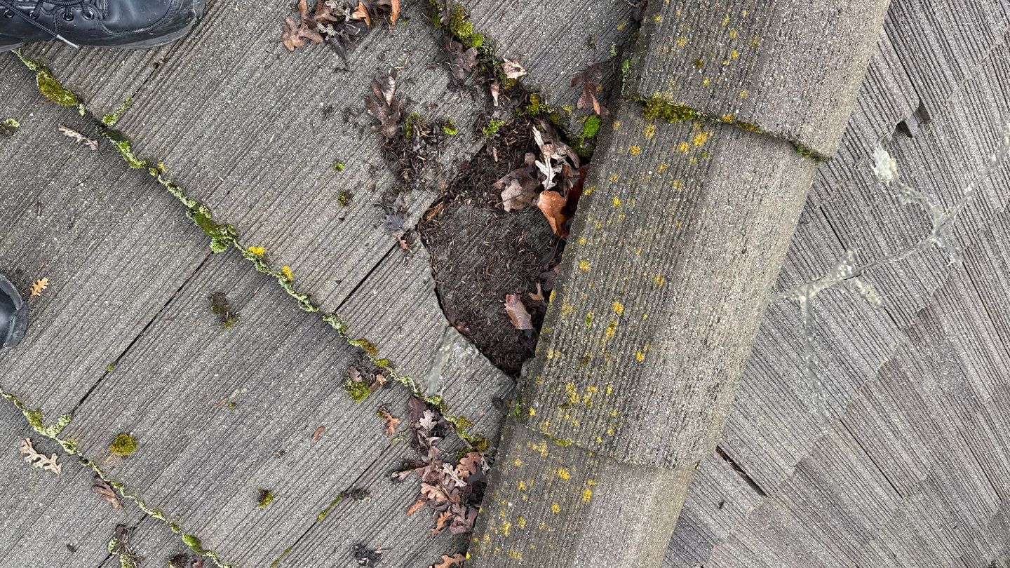 Project by NuLead Construction Inc by NuLead Construction Inc