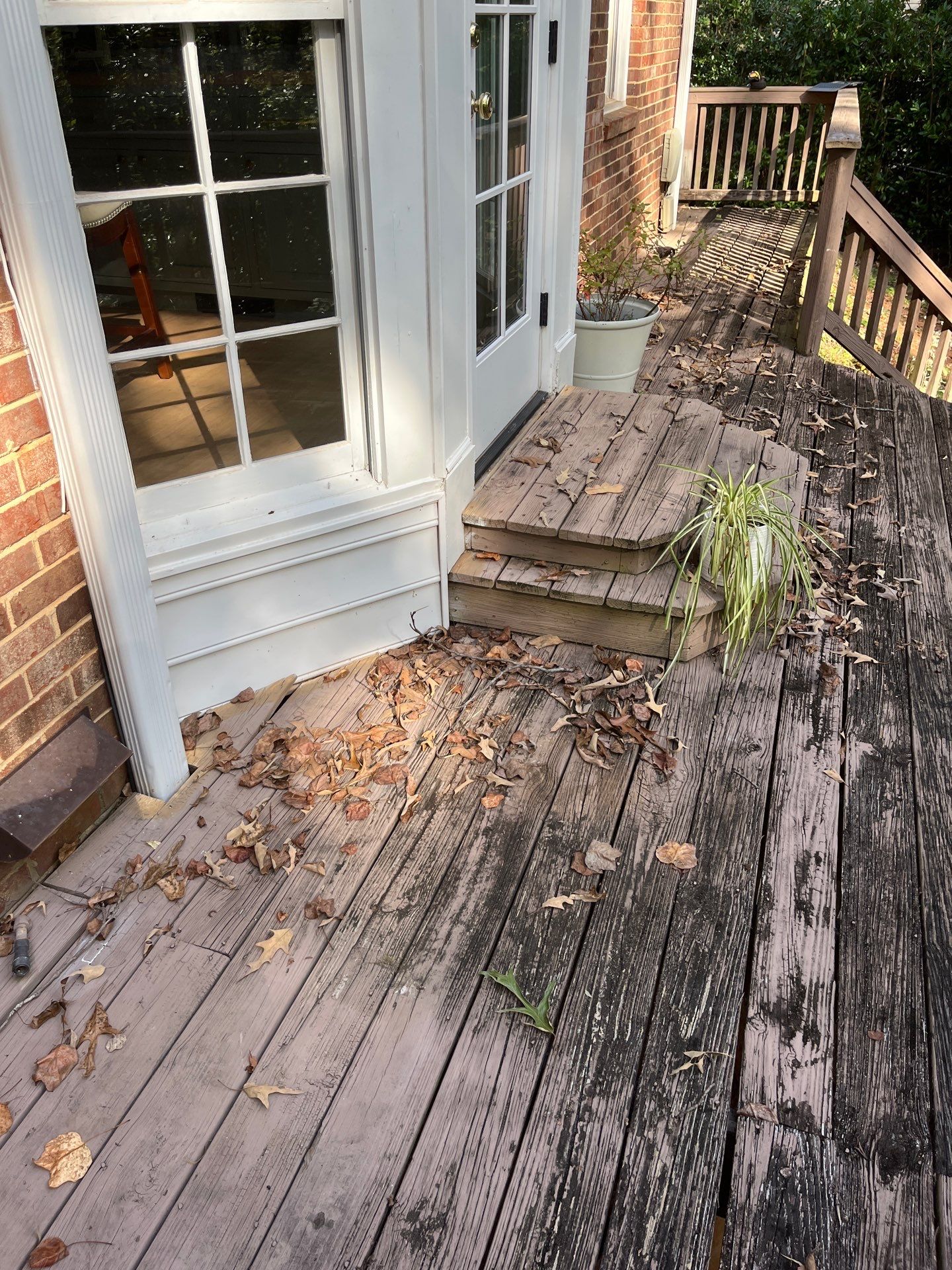 Deck Build and Screened-In Porch Install with Wild Hog 6' Black Mesh Panel Railing by Nelson Exteriors 