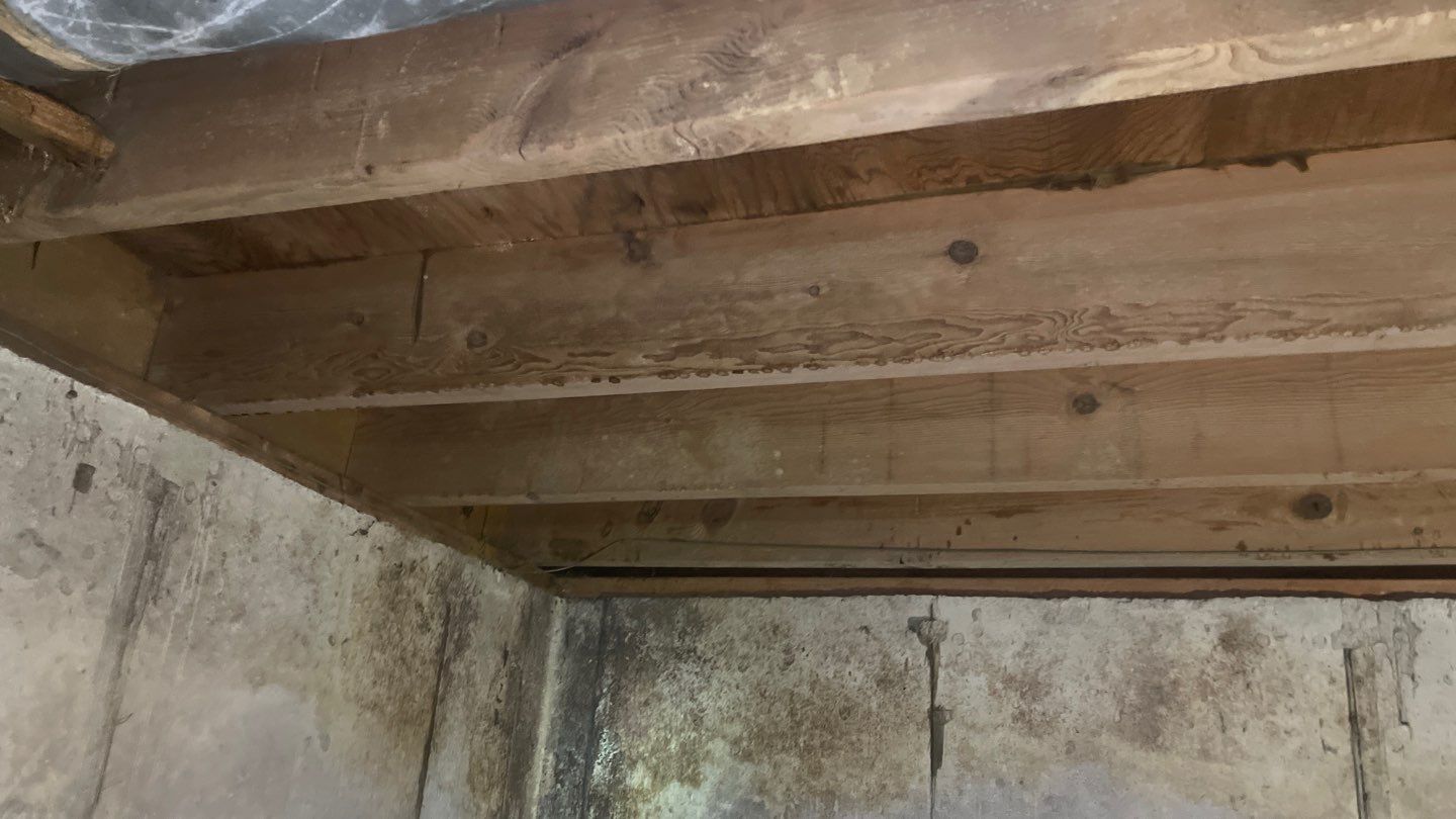Crawl Space Project and Encapsulation by Toledo Basement Repair 