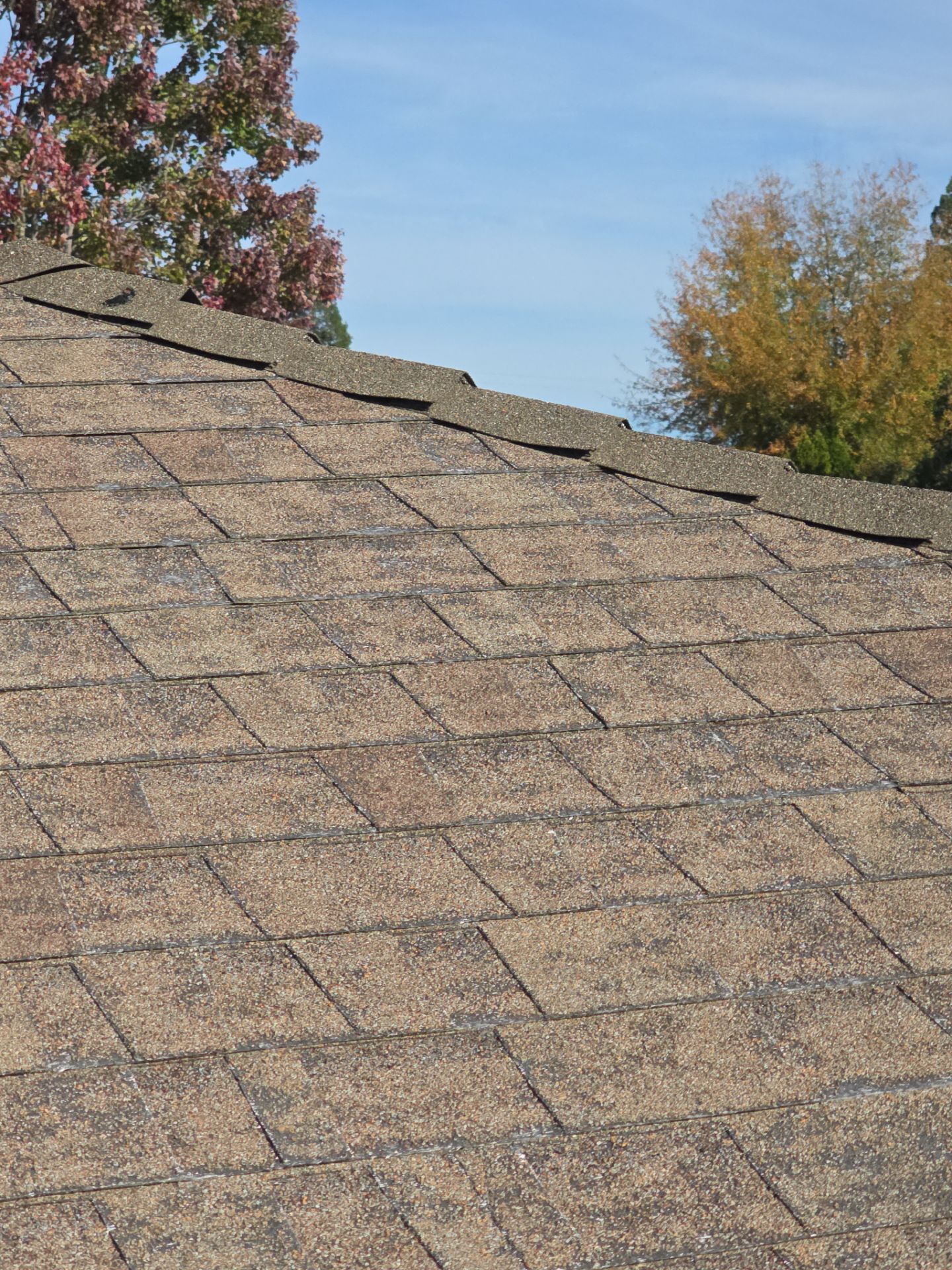 Roof Rejuvenation using Roof Maxx Treatment by Roof Maxx of Folsom