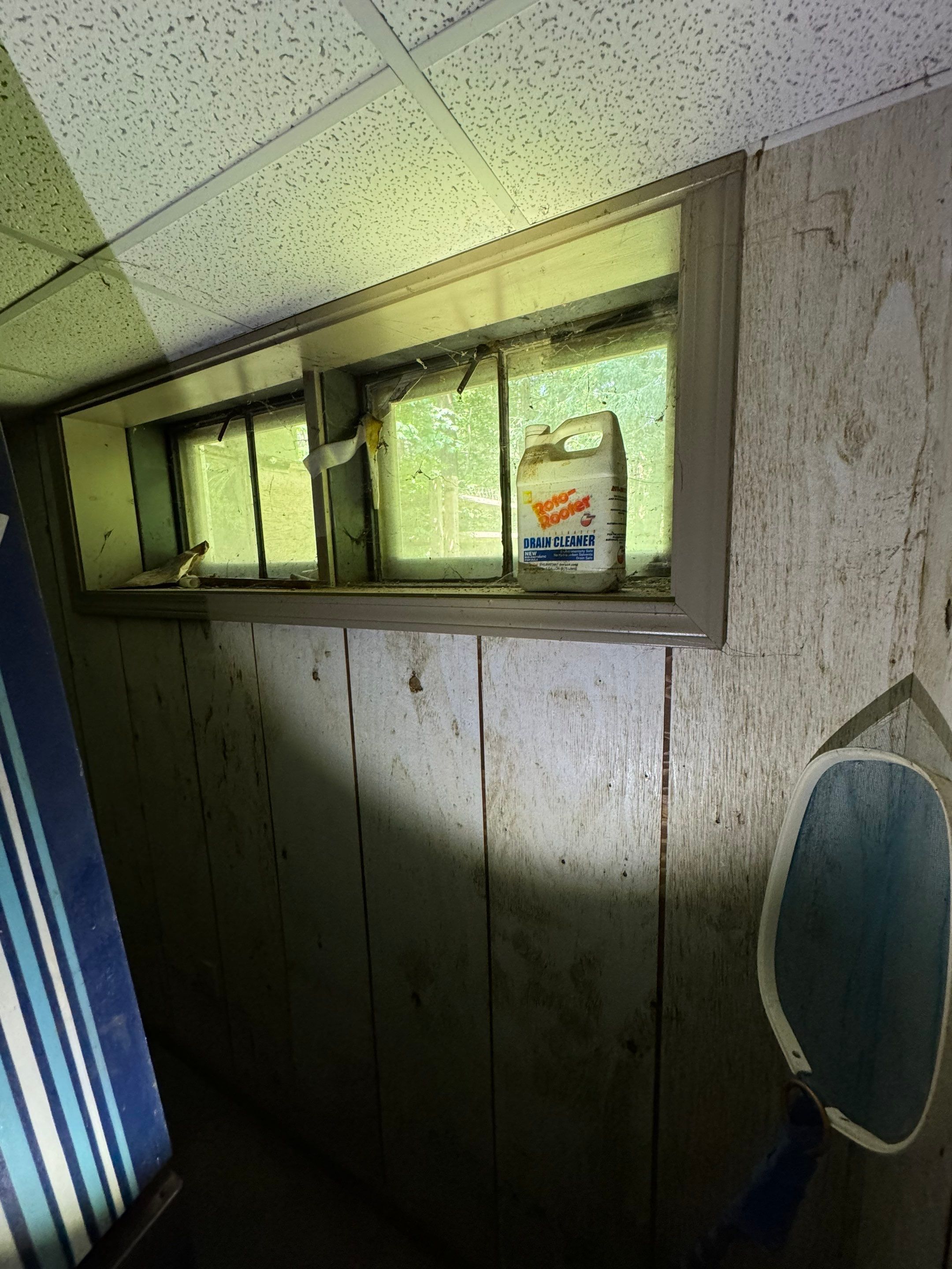 Basement Mold Remediation by Home Guarantee, LLC