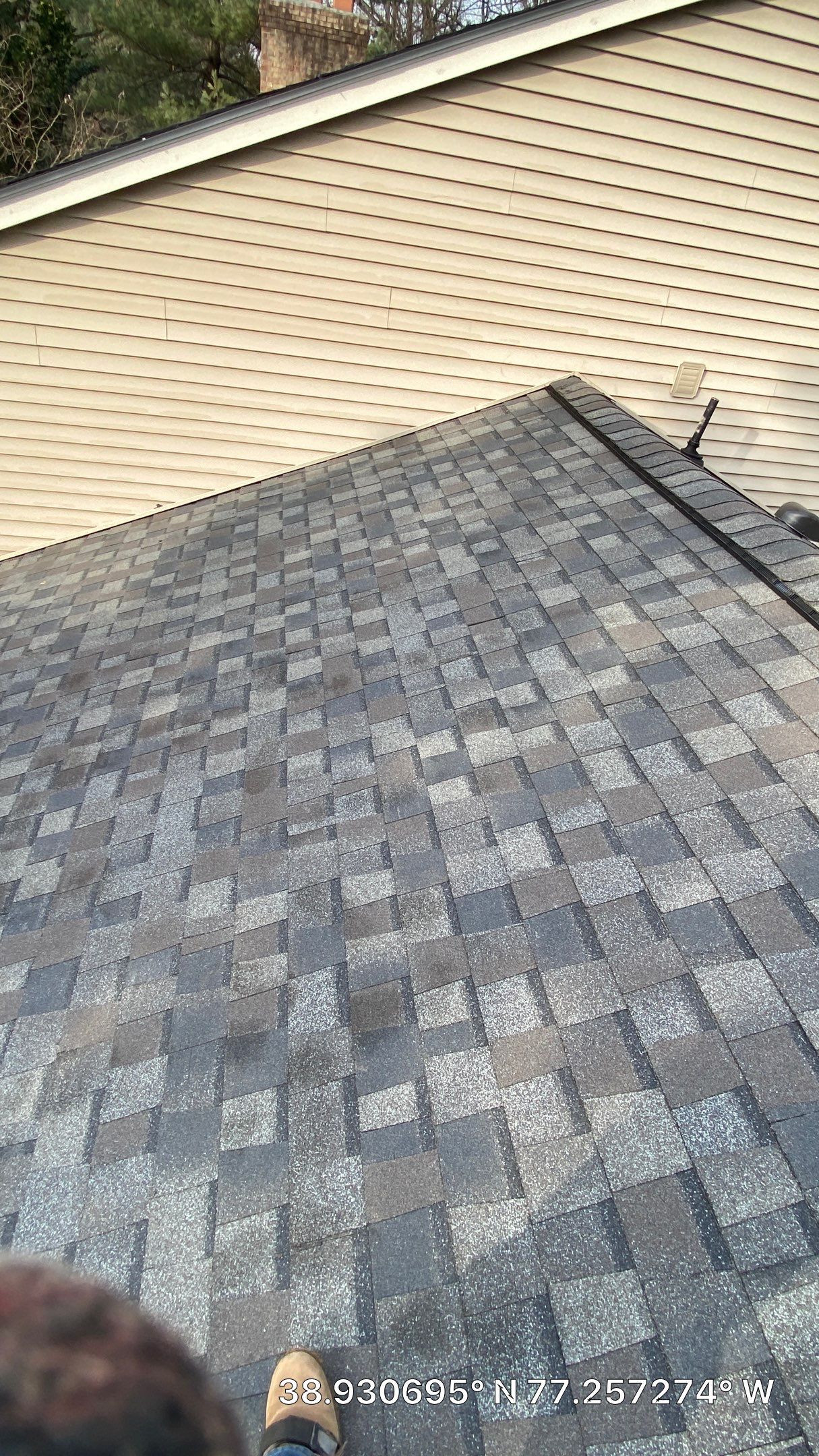 Vienna: Certainteed Landmark Pro Designer Shingles in Max Def Driftwood by RM Banning, Inc.