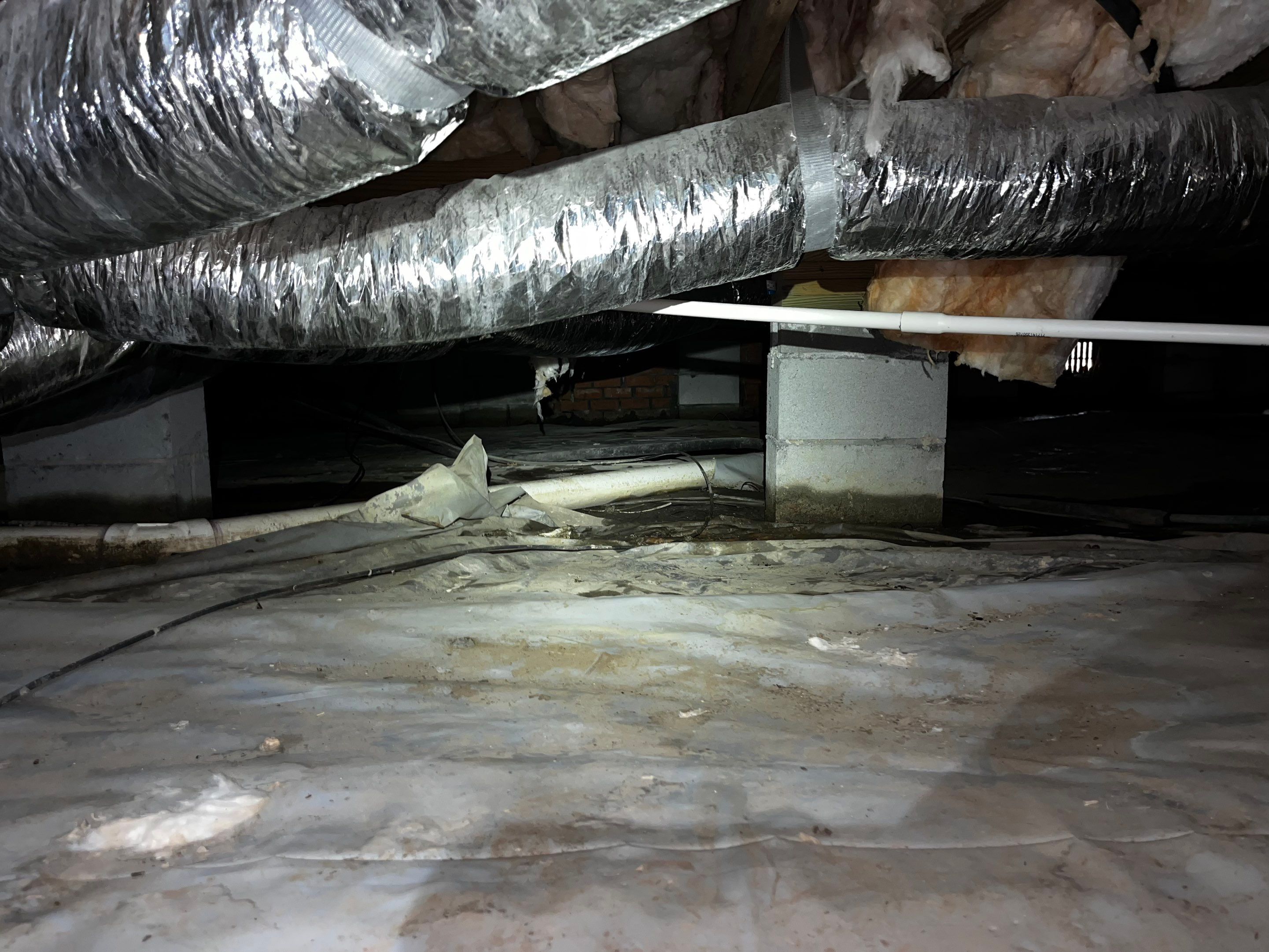 Impact Choice Encapsulation with French Drain and Crawlspace Doors by Impact Crawlspace