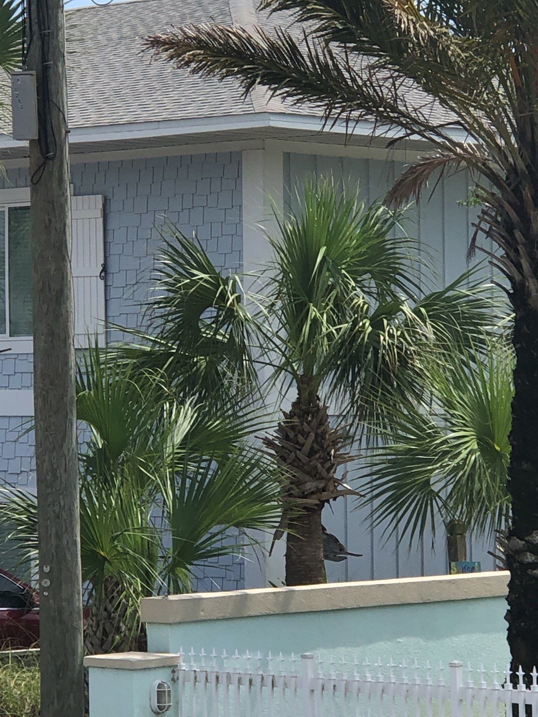 Gutter Installation using K-Style Seamless Gutters by Gutter Professors