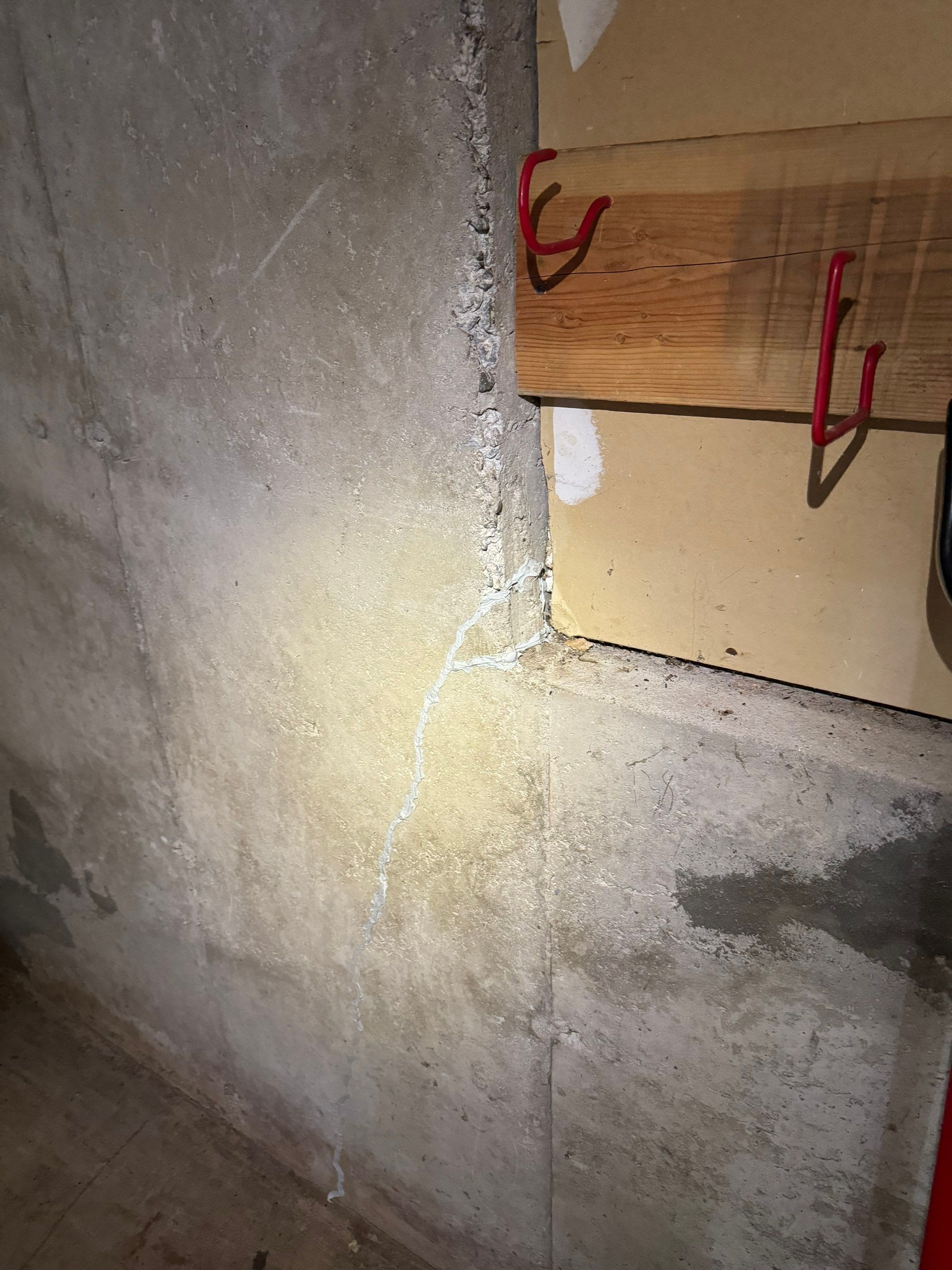 Basement & Livingroom Remediation by Home Guarantee, LLC