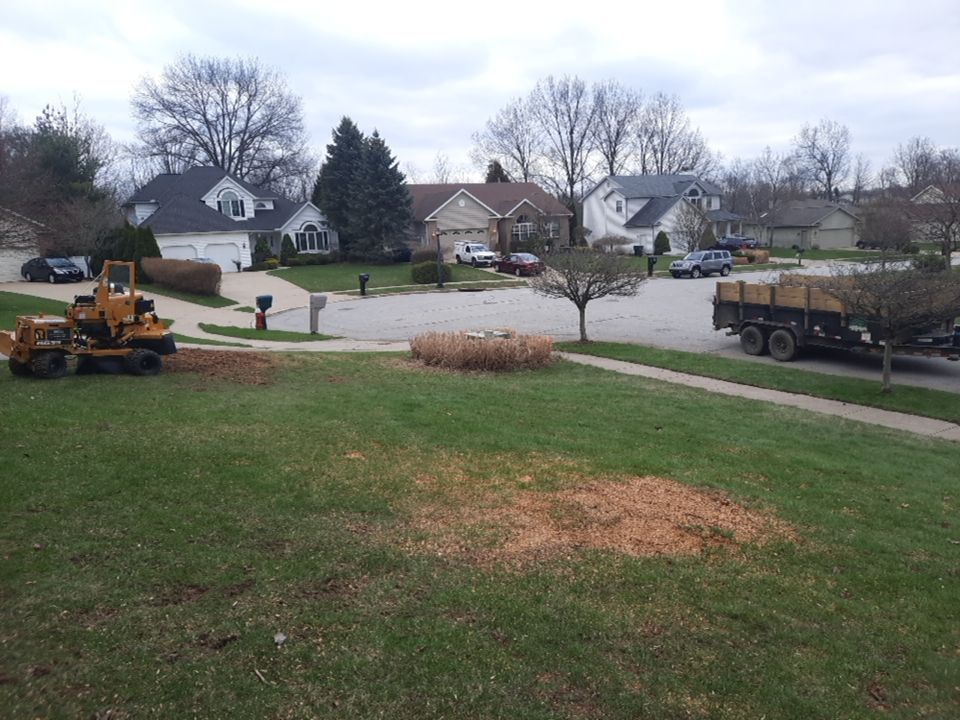 Tree Removal using Tree Removal by Mike Jones & Sons Tree Service LLC 