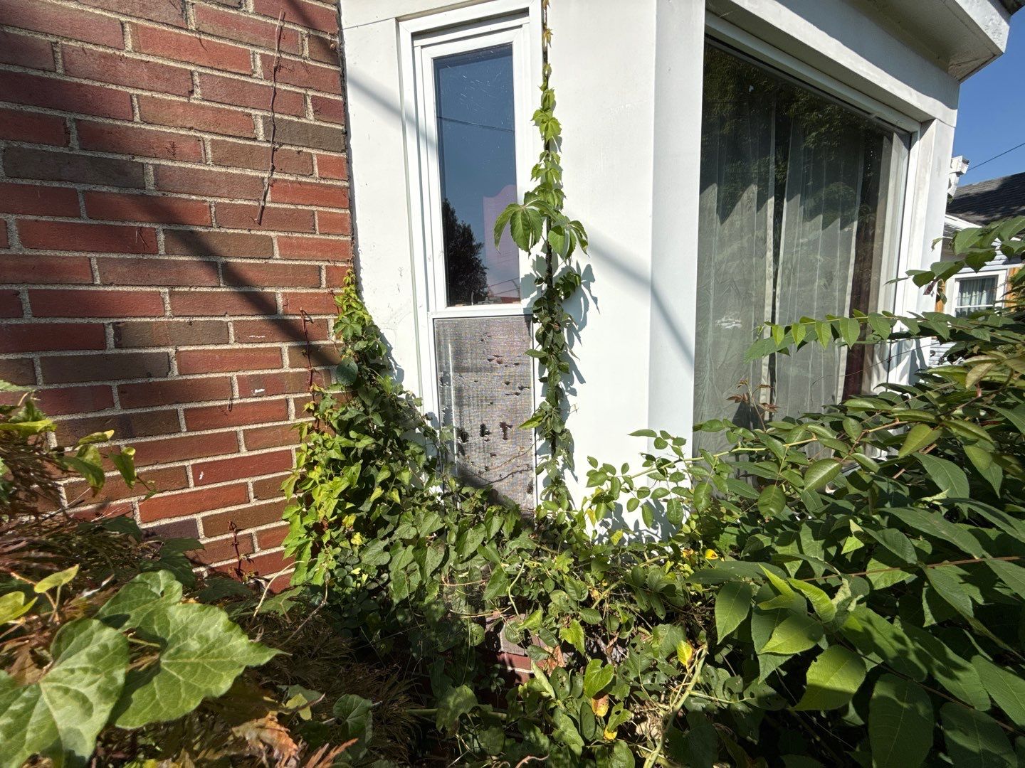 Jonathon Salmons Hail & Tree Damage Report by Constructive Project Management