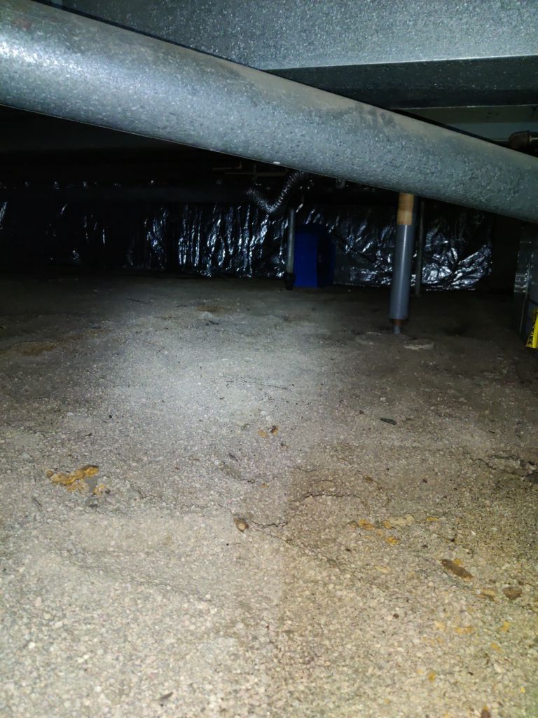 Crawl Space Cleanup  by Accountable Home Services