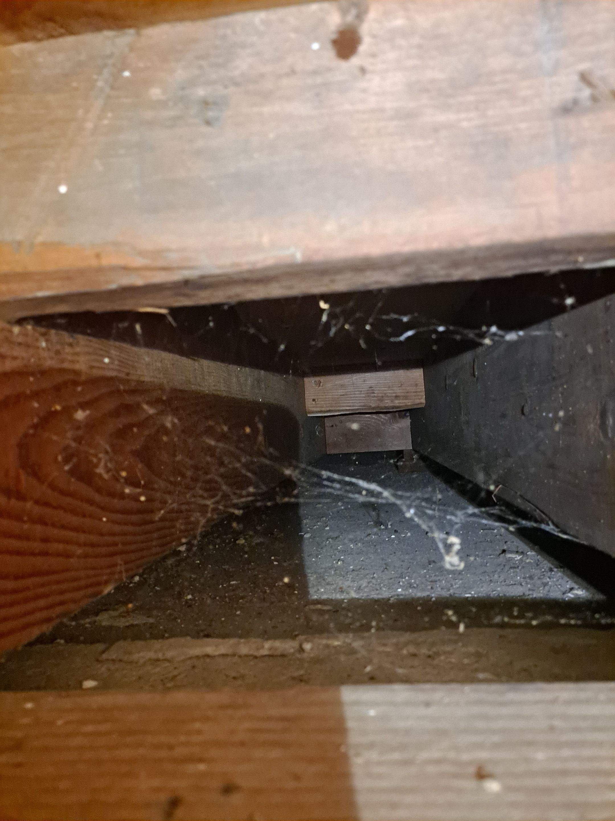 Crawl Space Inspection by Allied Water Services