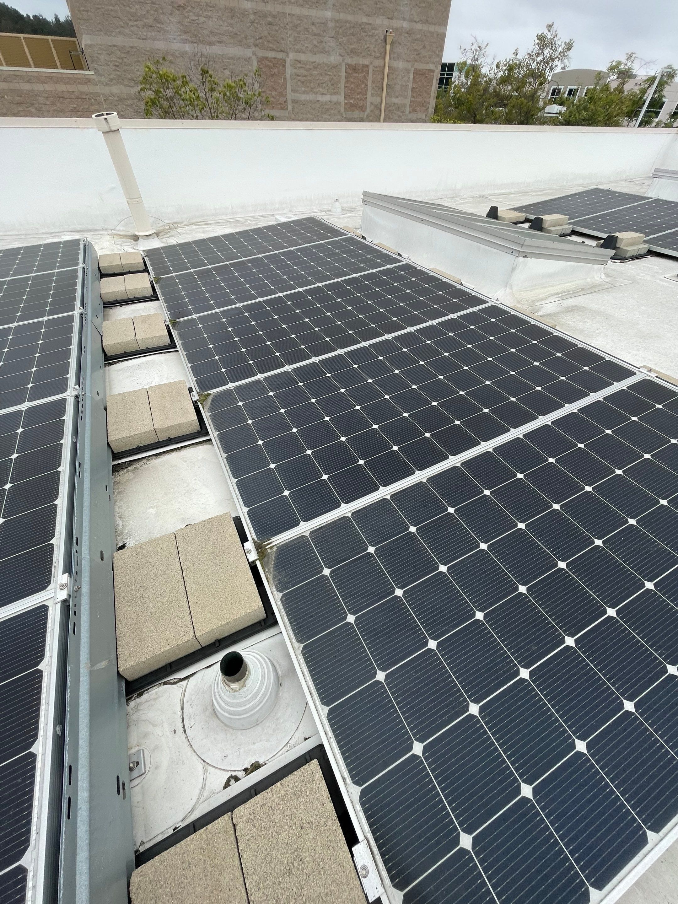 Commercial Solar Cleaning by Palm Coast Solar Cleaning