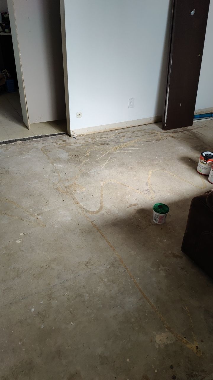 Mold Remediation by Accountable Home Services