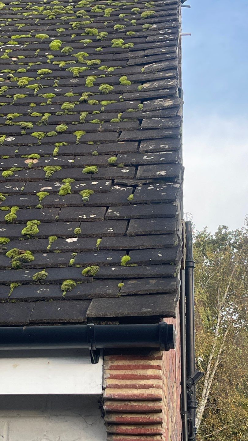 Roof Clean - Biocide Treatment using Honda 15lpm Low Pressure Washing Machine by Ges Exterior Cleaning ltd