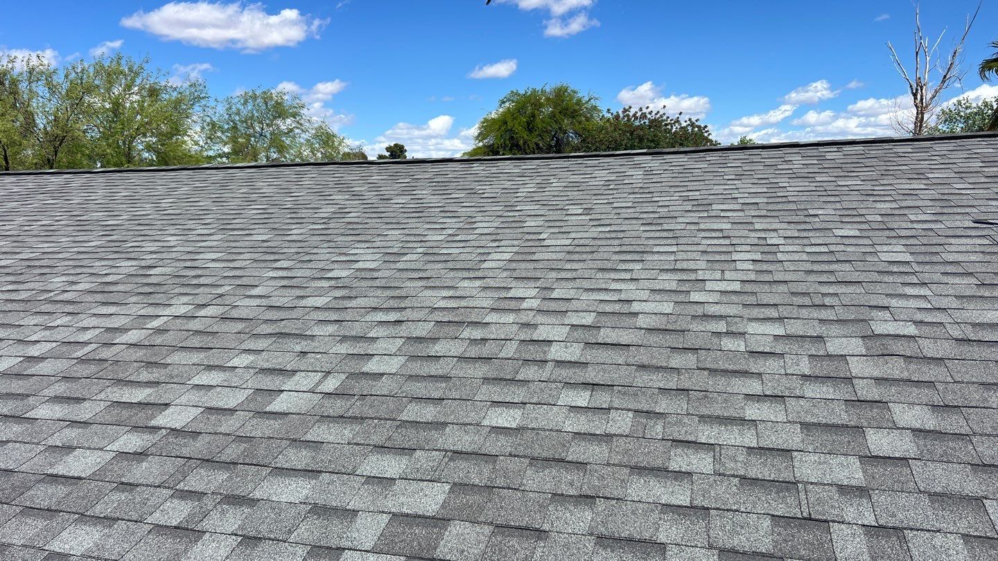 Silver Birch Shingles by Reimagine Roofing