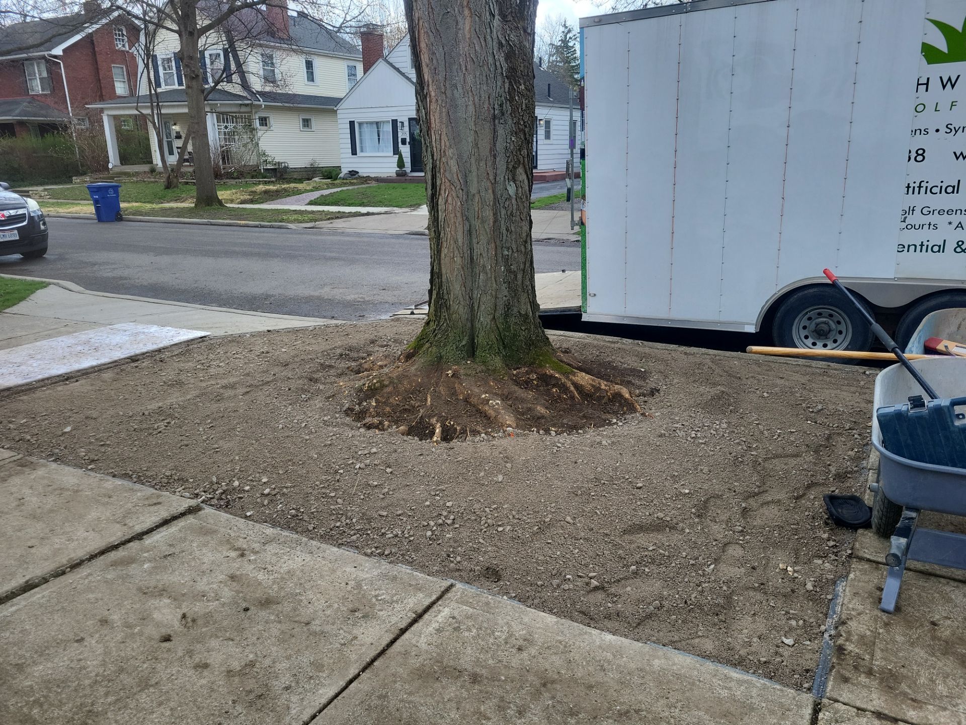 Full Turf Front & Back Pet Lawn by Southwest Greens Midwest