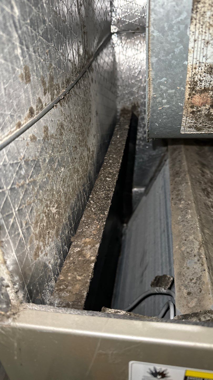 Air Duct Cleaning in Tavares by Hygienic Air, Inc