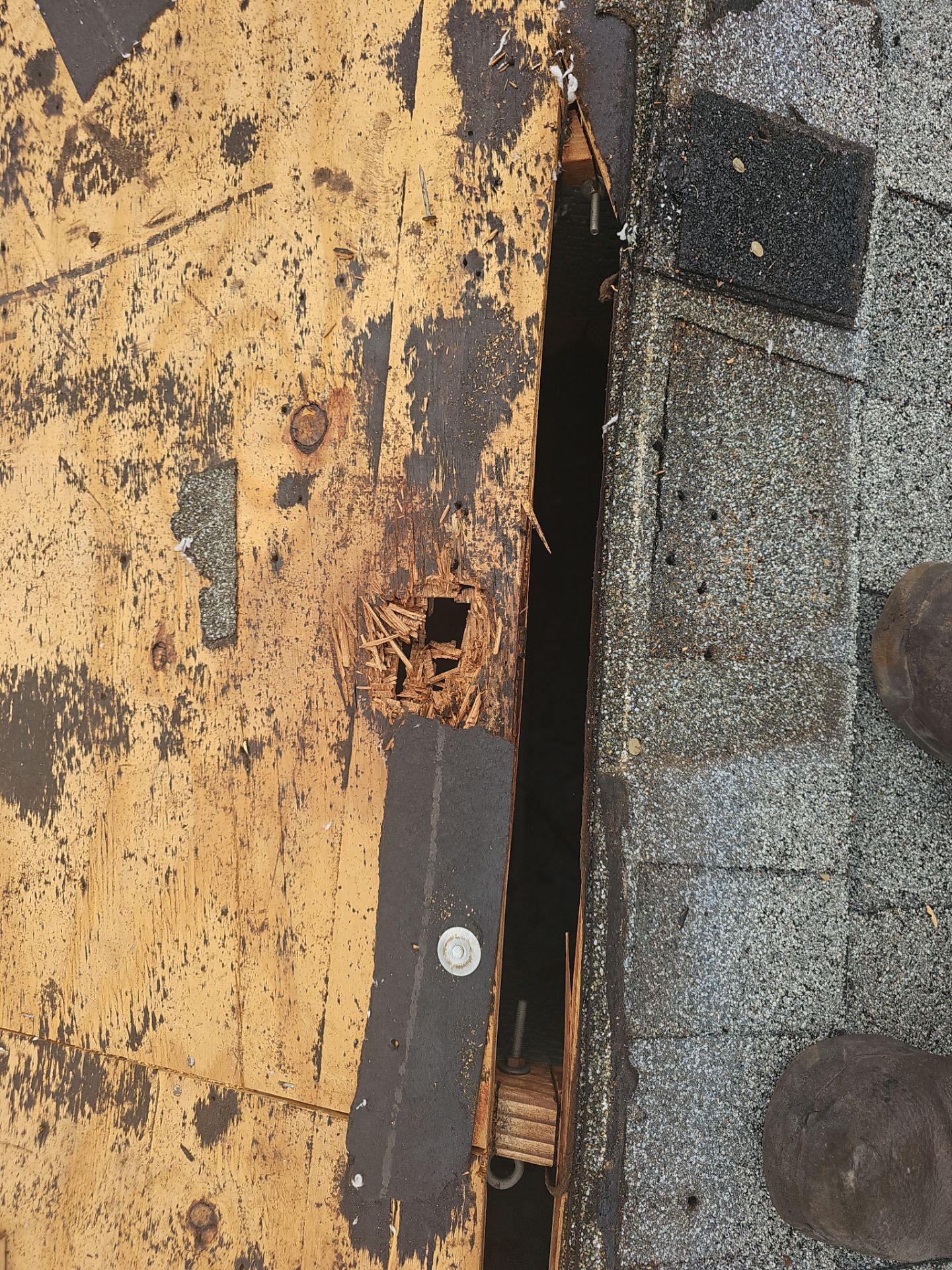 Project in Seminole 33772 by Mitchell Roofing Company LLC 