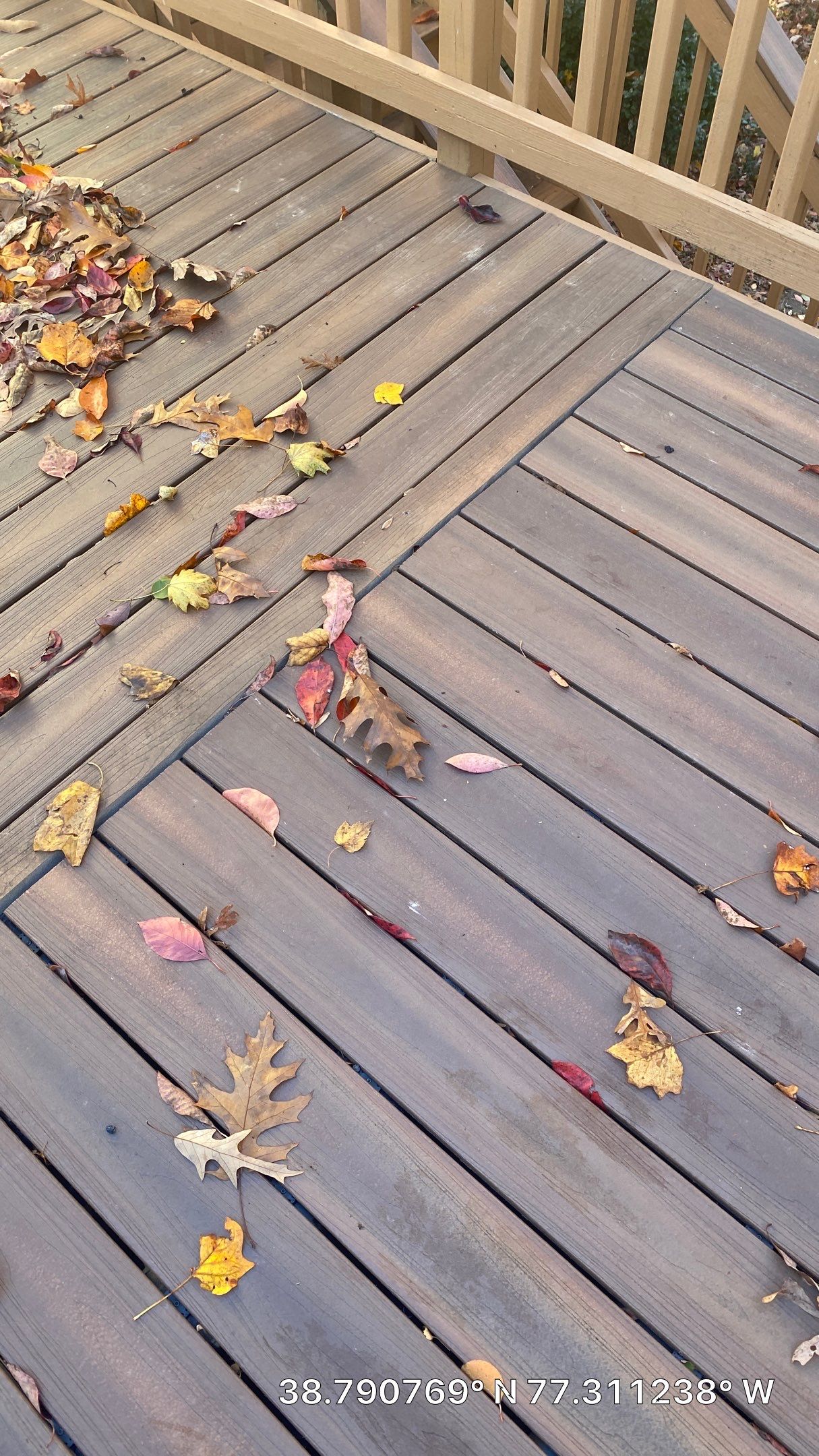 Burke: Multi-Trade Tree Damage Restoration by RM Banning, Inc.