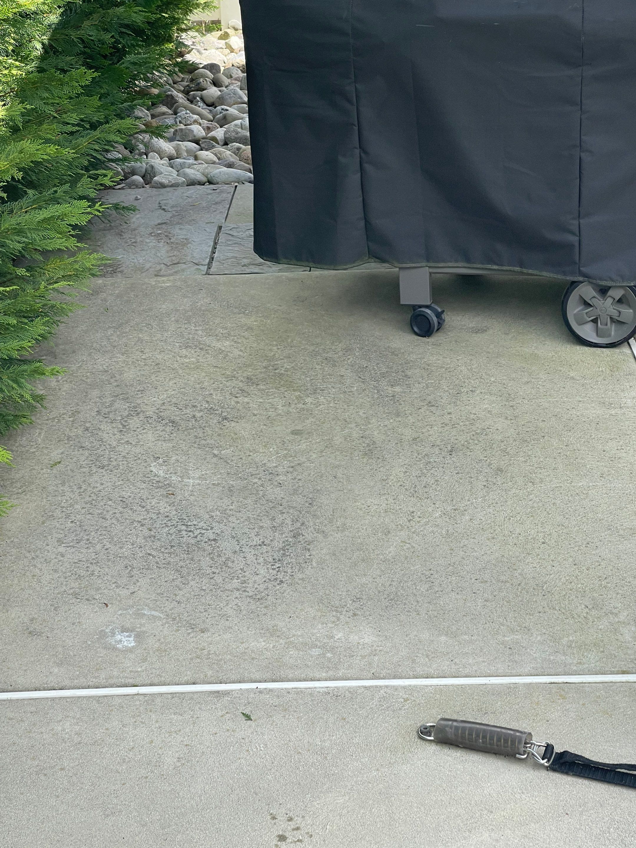 Pool Patio, Deck and railings, House Wash & concrete by SJ Exterior