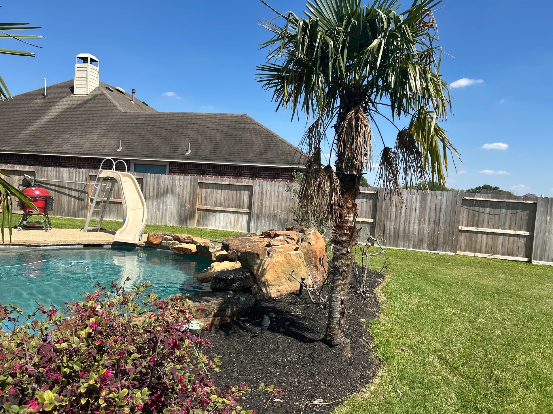 🌿 Larry Caudillo’s Poolside Landscape Revamp by Texas Urban Elements