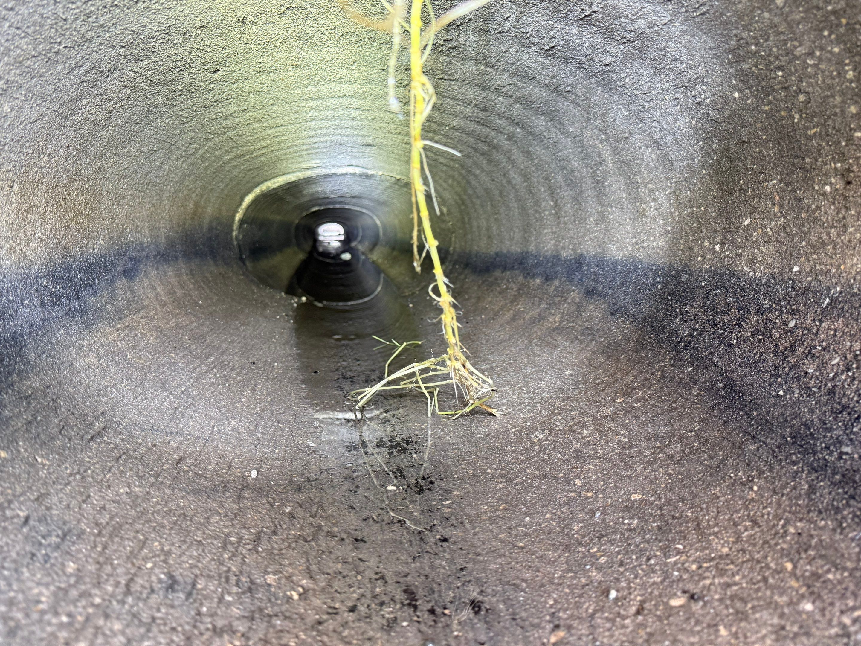 El Dorado/Coconut Rd Culvert Cleaning by Don Mar, Inc. Storm Water Solutions