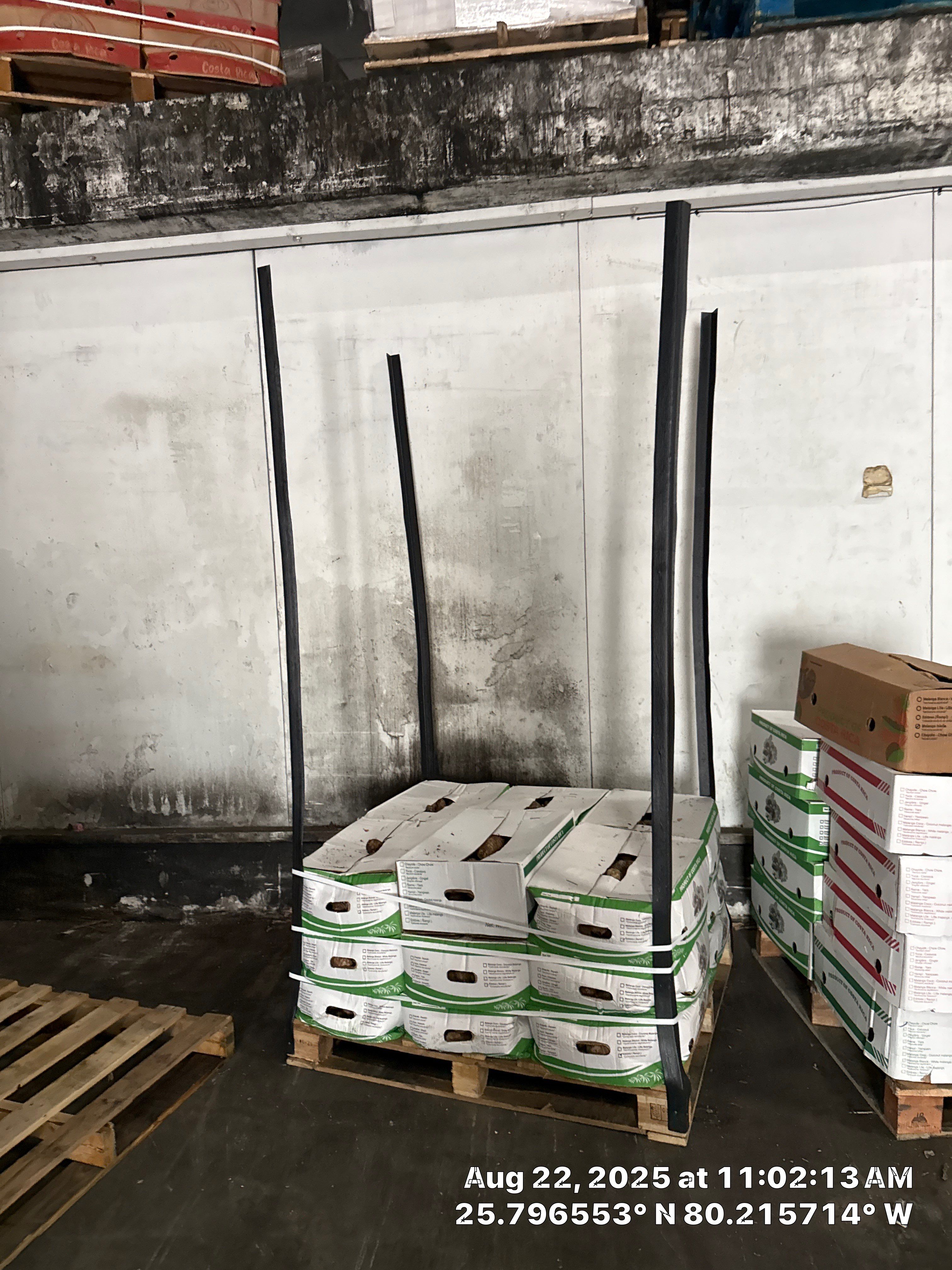 MOLD REMEDIATION by SuperClean 