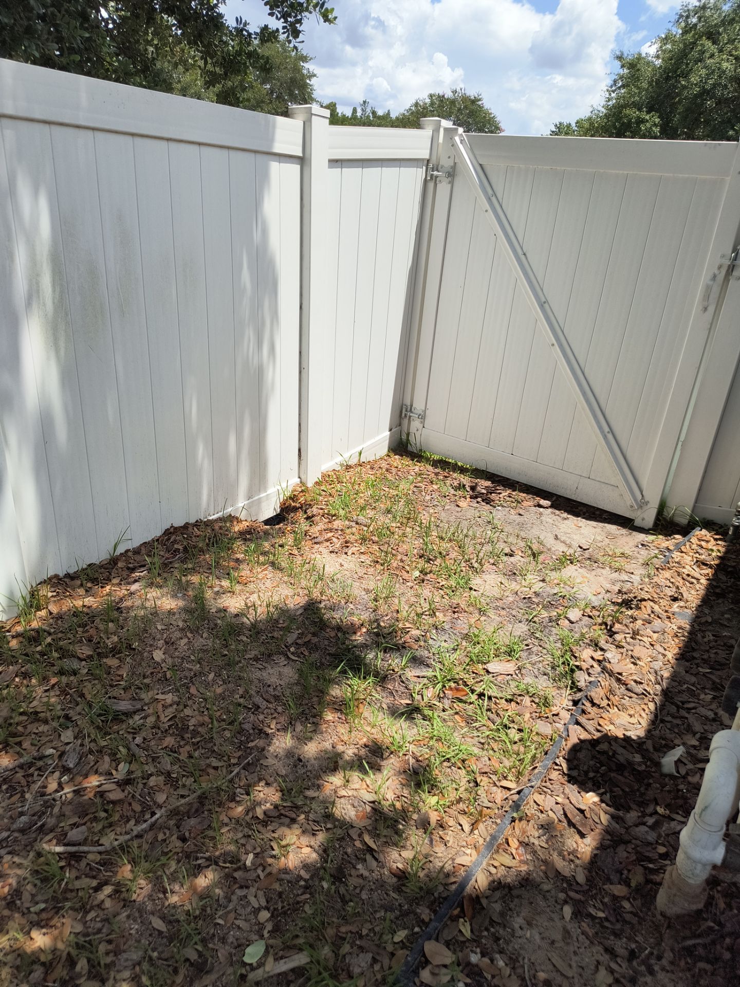 Professional Gutter Cleaning in Lutz FL by Gutter Professors
