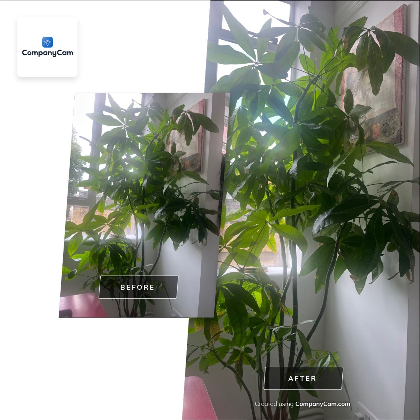 London Residential Interior Refresh and Indoor Plant Installation by CompanyCam Sales Demo