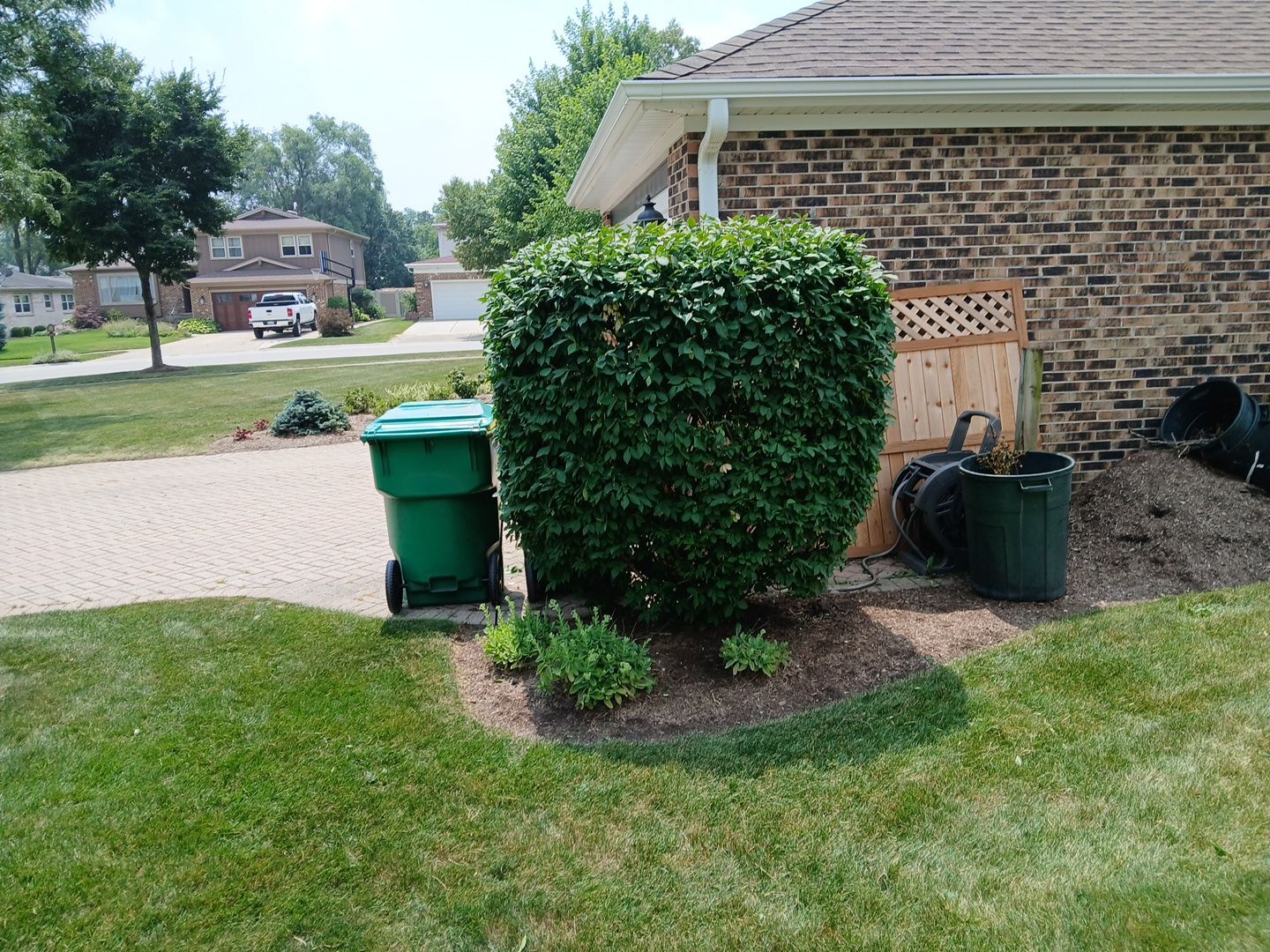 Ed E. - Wheeling, IL by A&N 