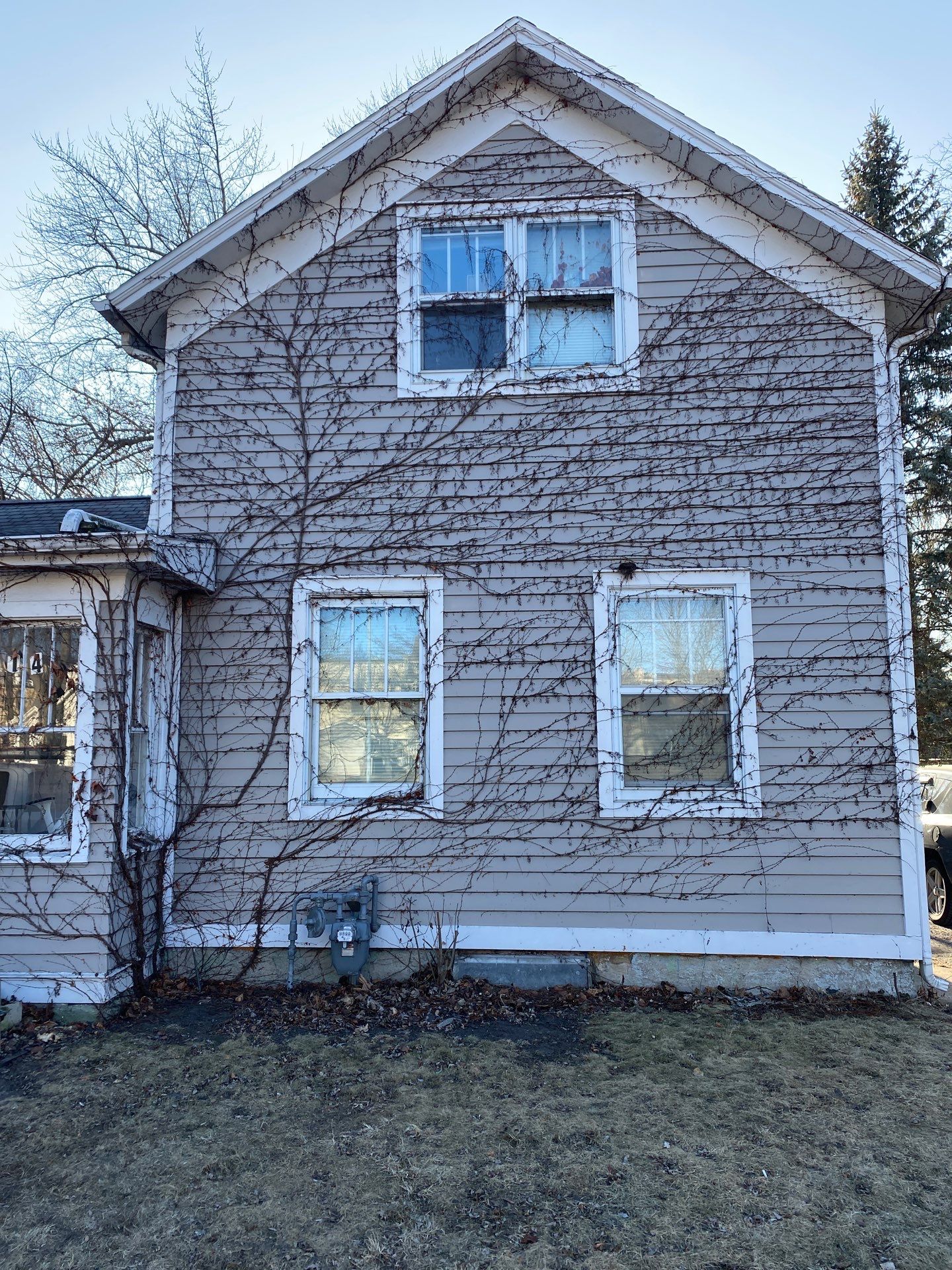 Vine Removal by Shulla Exterior Cleaning