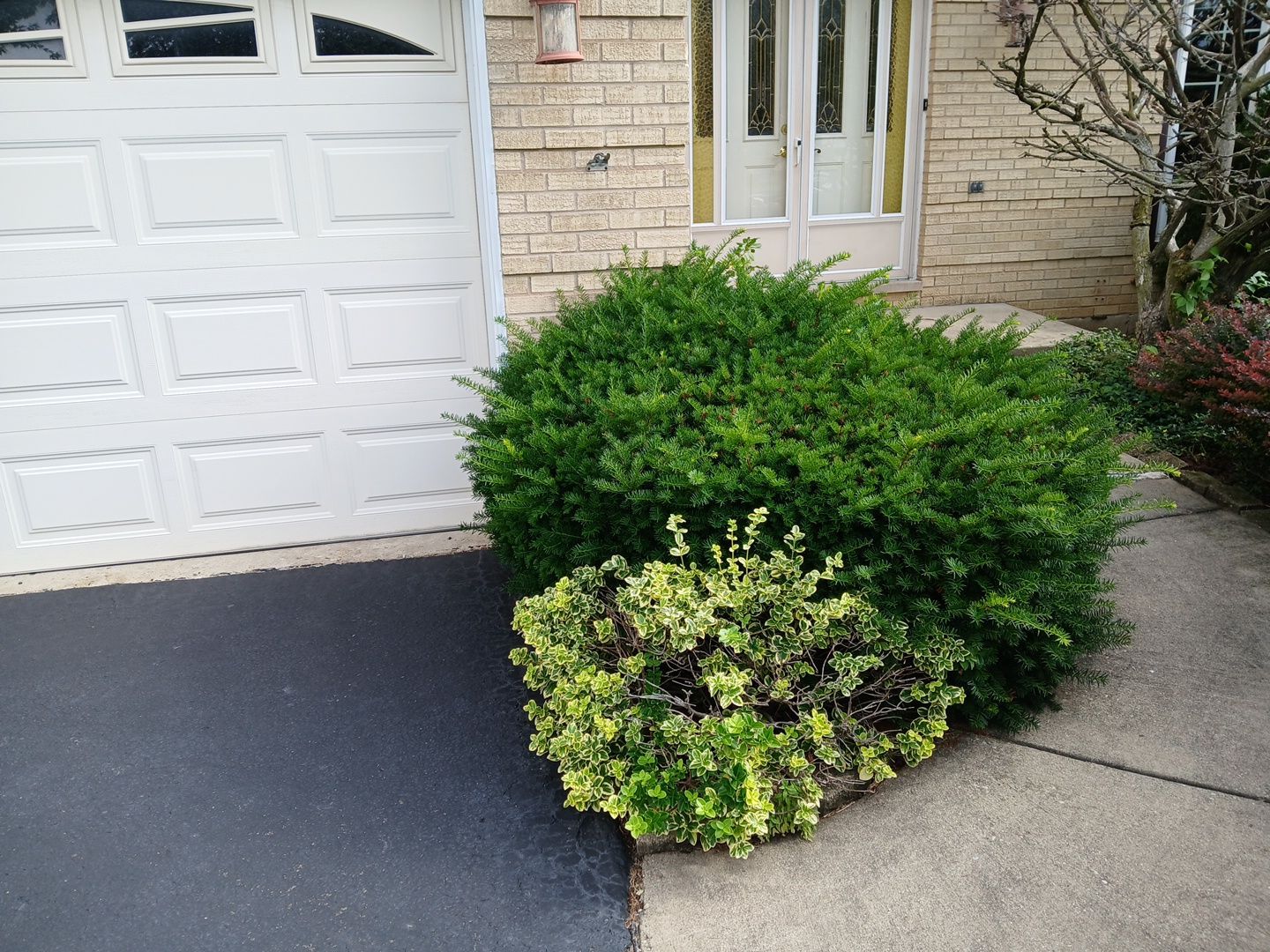 Andrew L. - Arlington Heights, IL by A&N