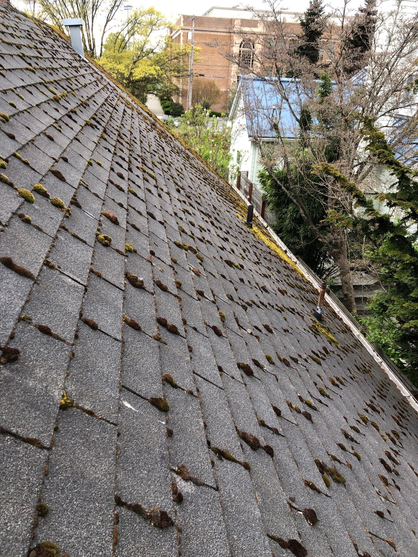 Project in Seattle by Peaks and Valleys Construction