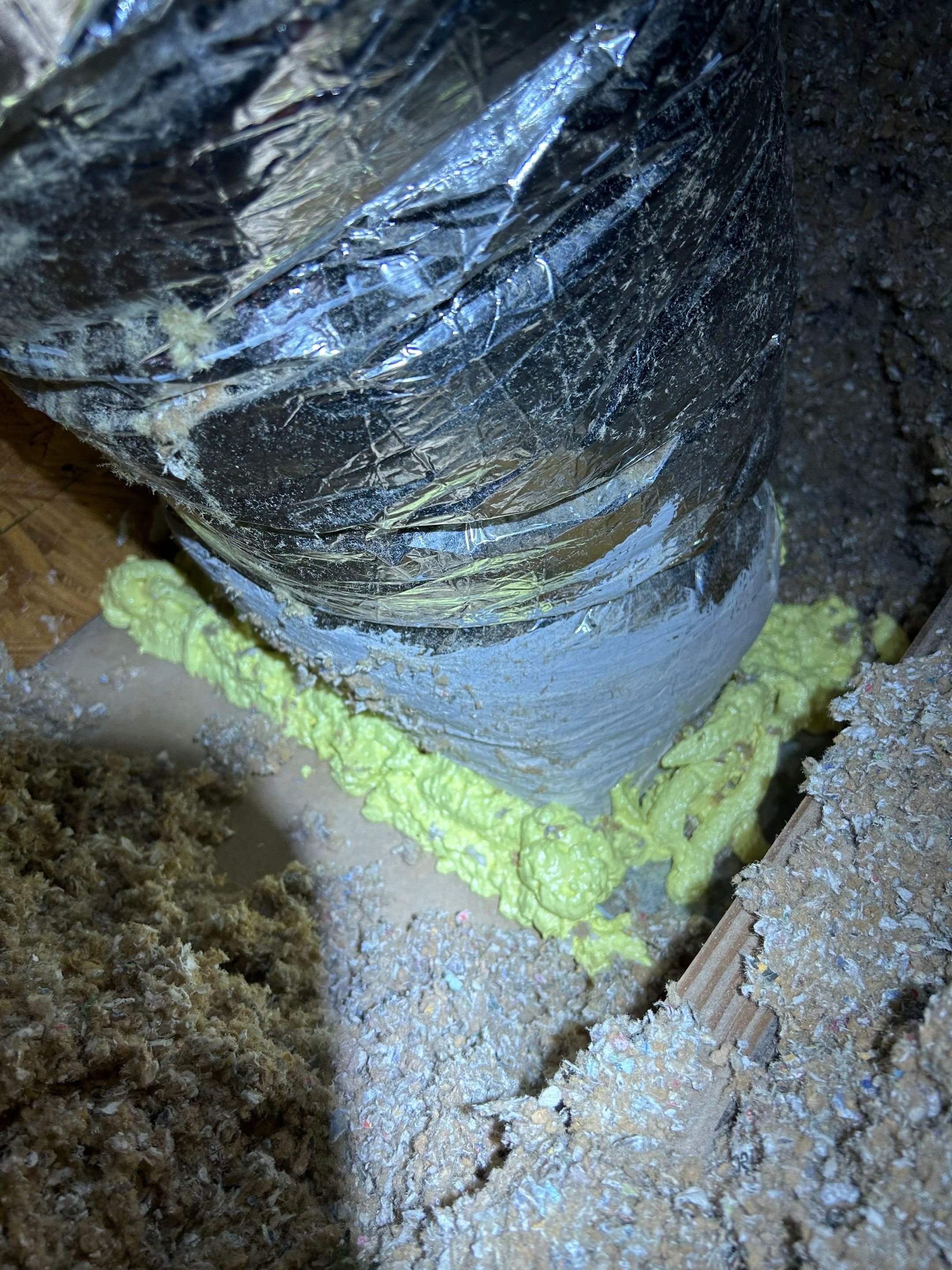 Mold Remediation in Holly Ridge by Home Disaster Medics