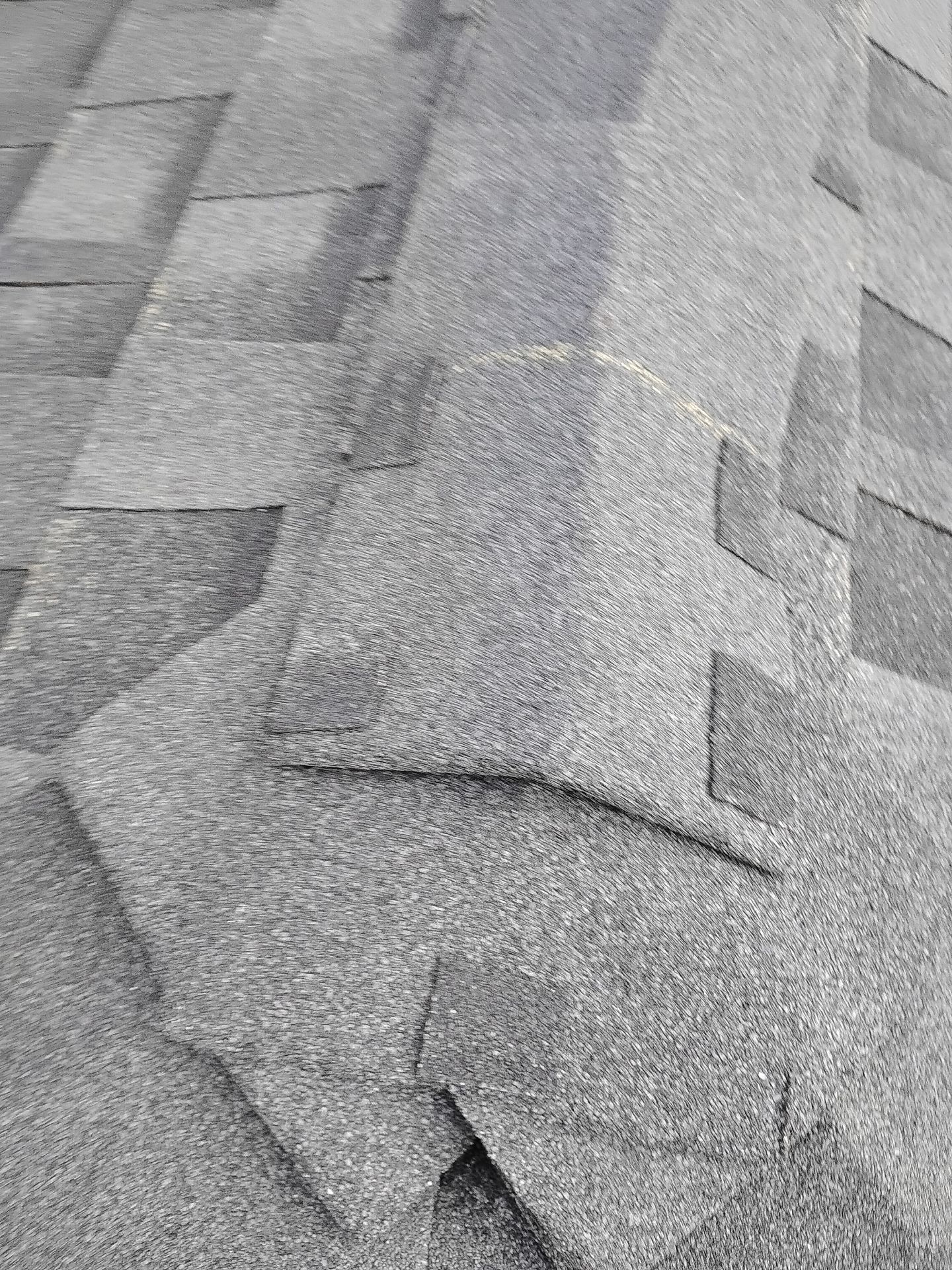 Roof, Siding, Door by BN Covered Exteriors