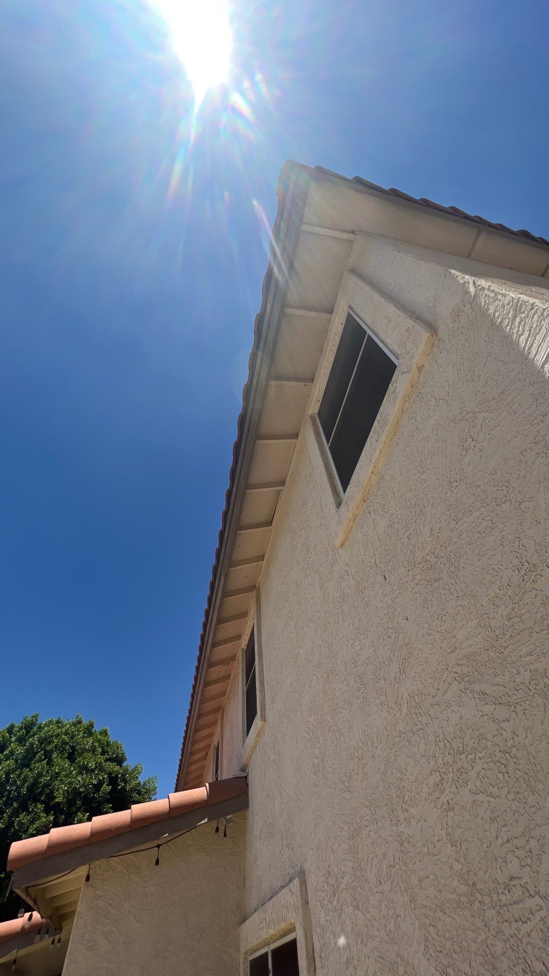 Exterior Painting using Dunn-Edwards EVERSHIELD®  by Crash of Rhinos Painting & Garage Floors
