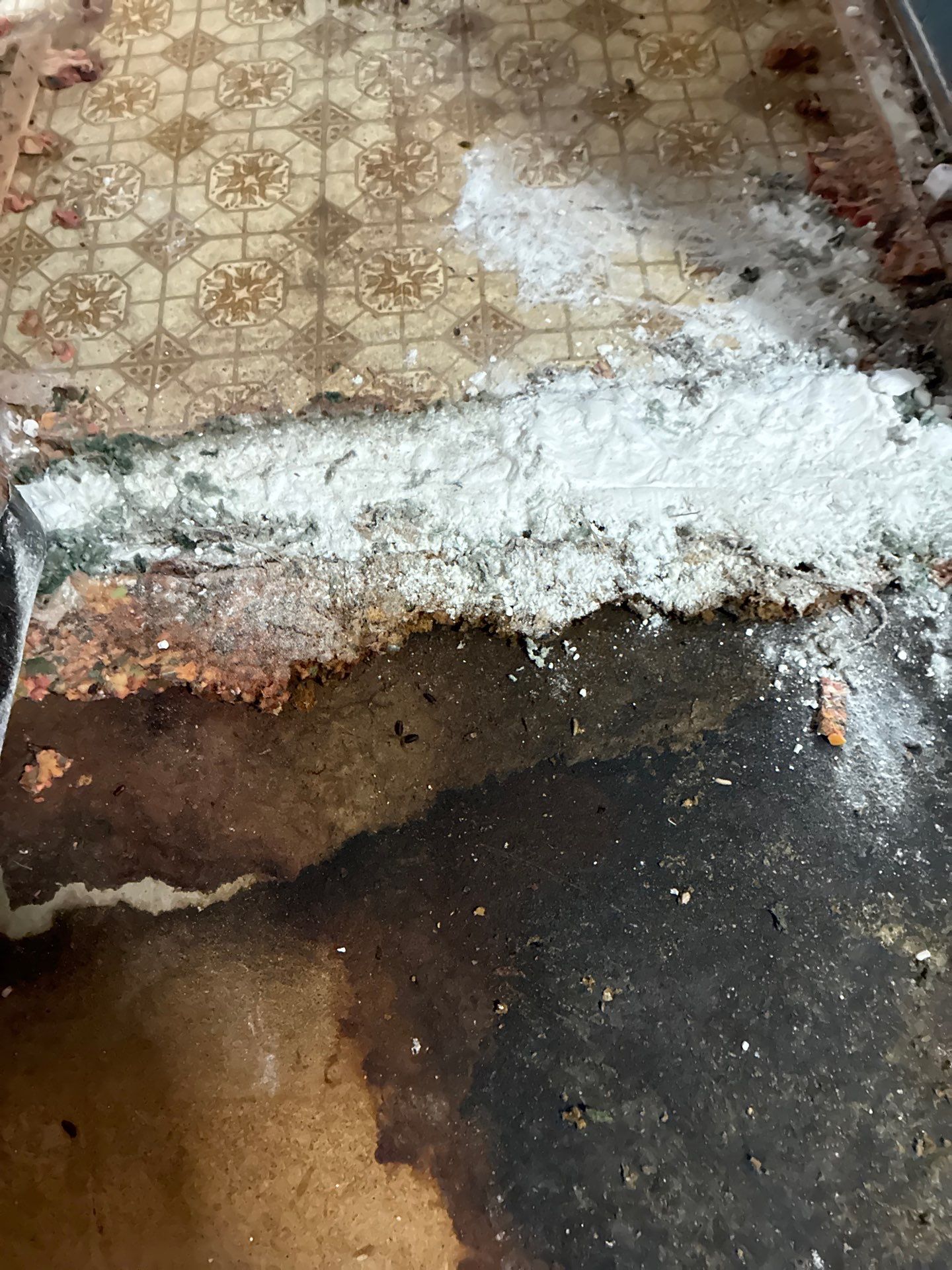 Project in Jackson by 911 Hazmat Cleanup 