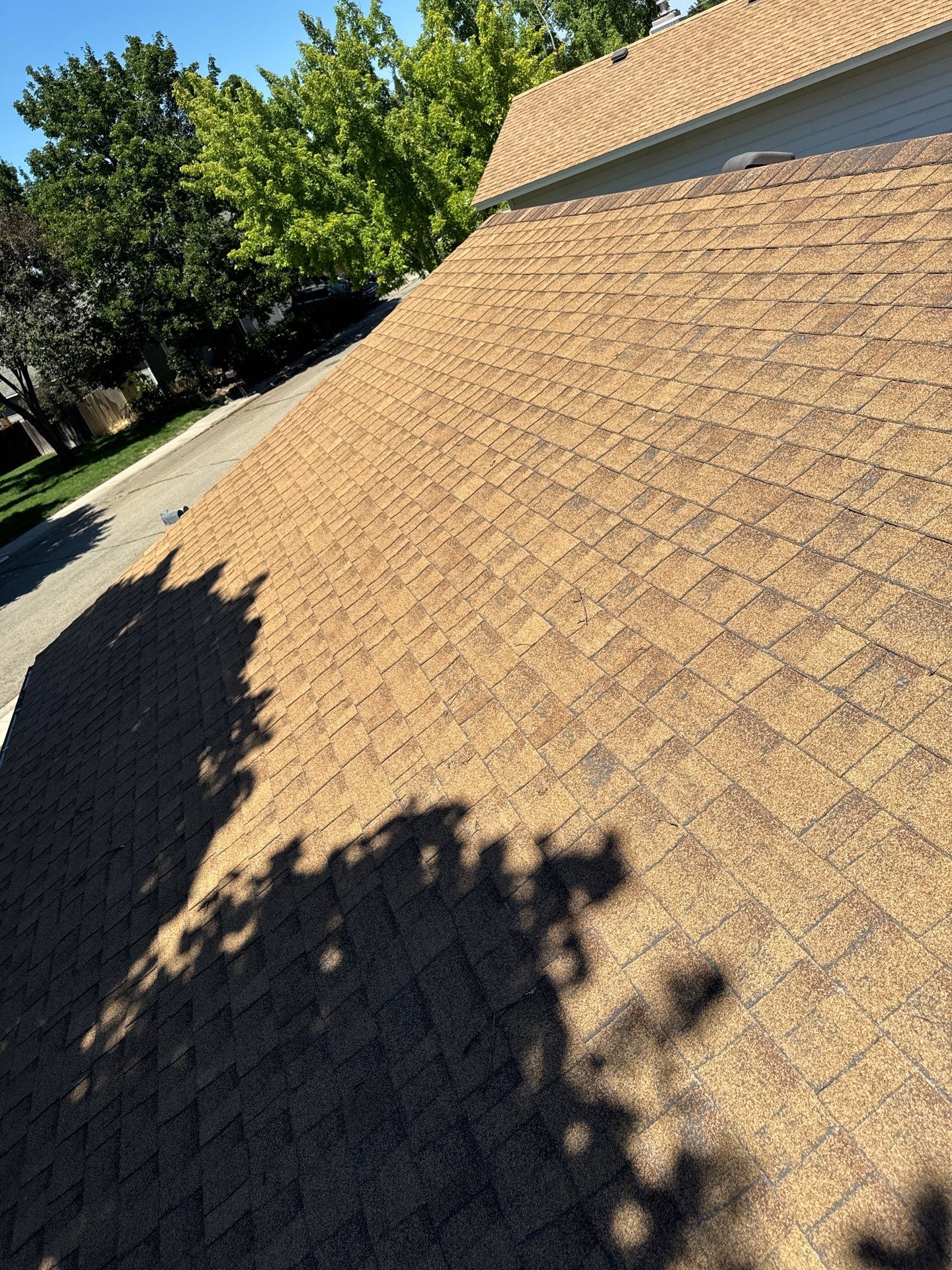 Asphalt Shingle Roof Replacement and Chimney Flashing in Boise by Olive Roofing