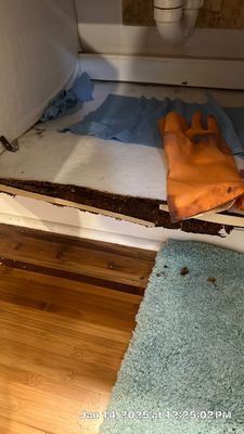 Mold Assessment using IR Camera, Moisture Meter, Air Cassette samples and Tape lifts