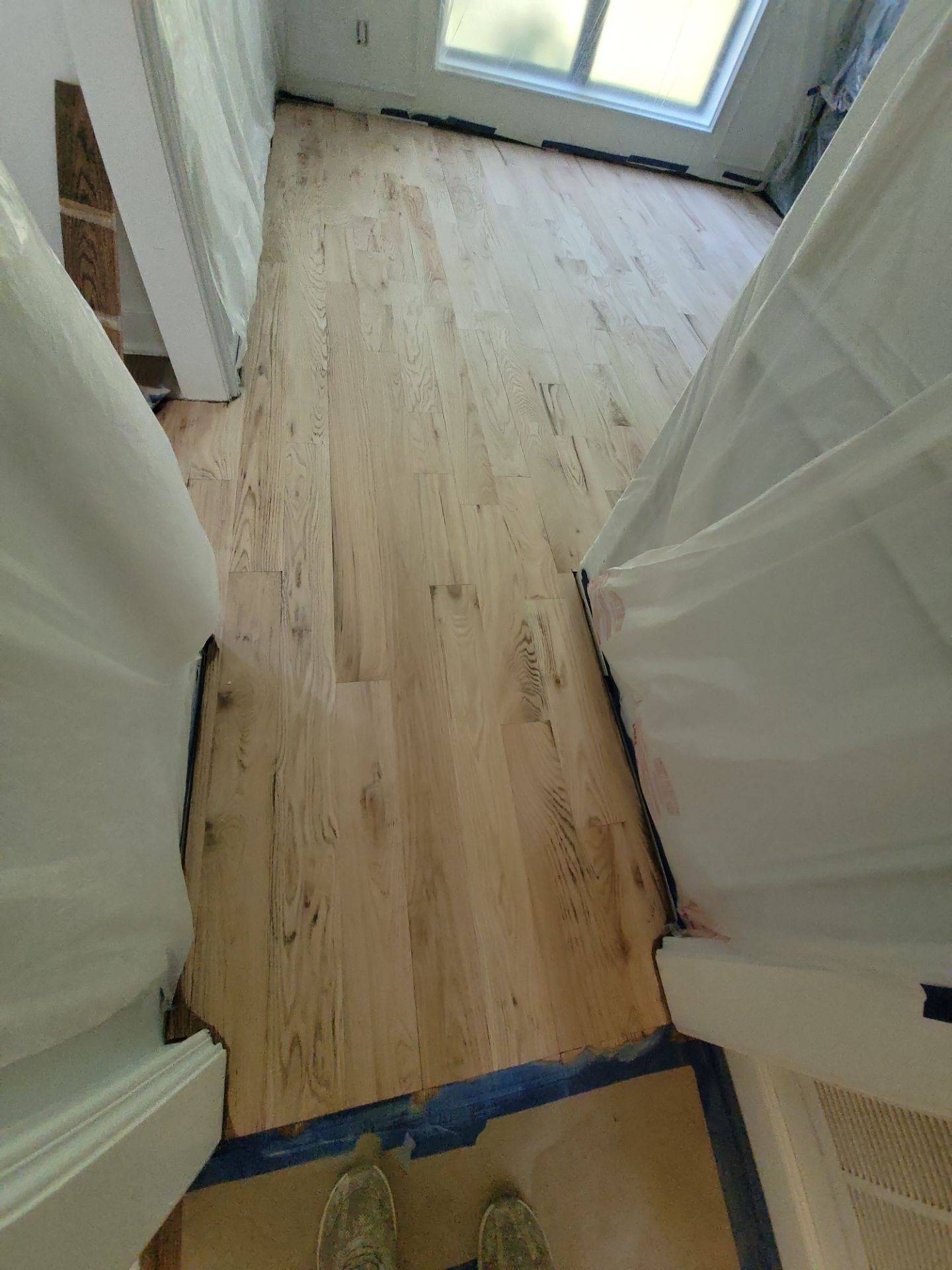 The Napolitano Family by SophAlx LLC