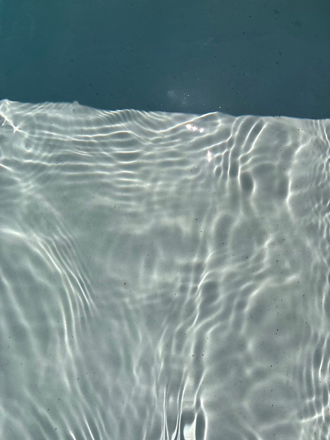 Custom In-Ground Rectangular Pool Installation in Wylie by Hobert Pools