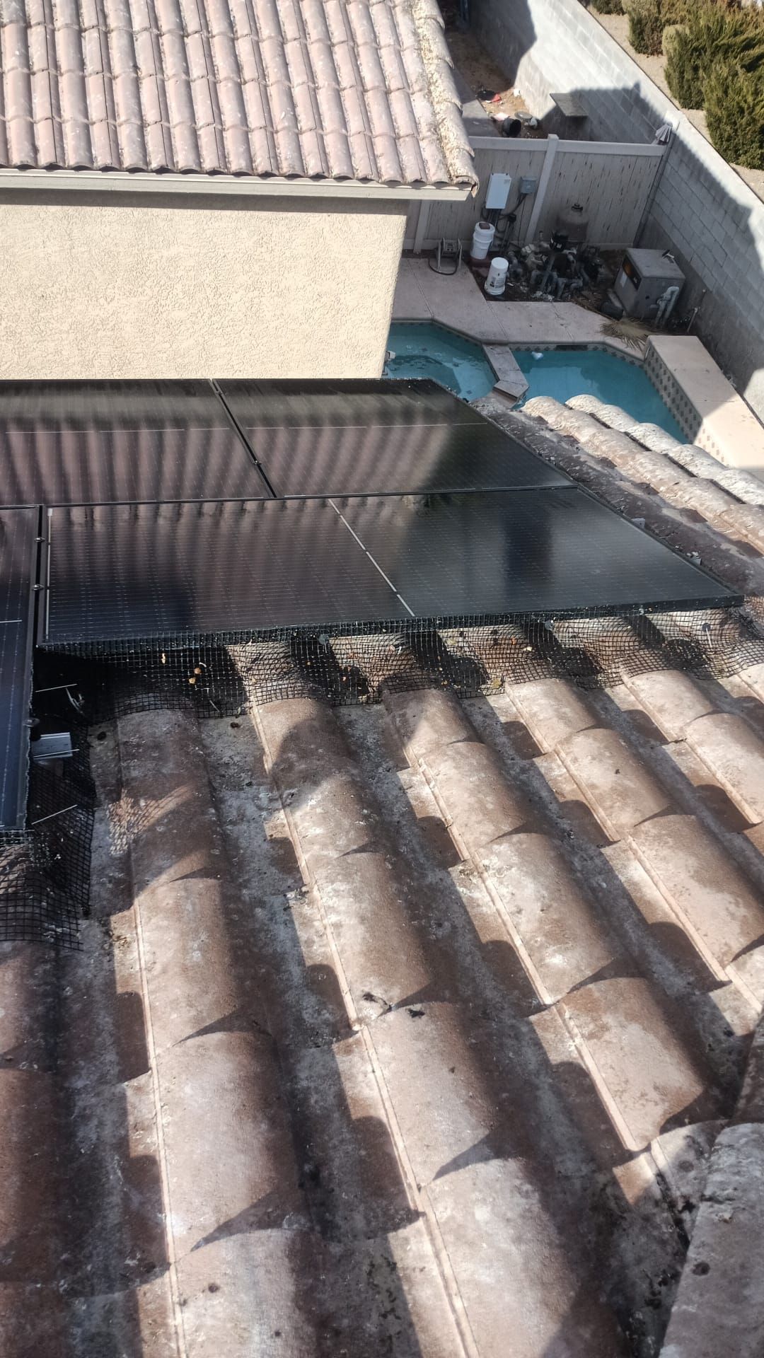 Excessive pigeon problem  by Solar Honest Cleaning 