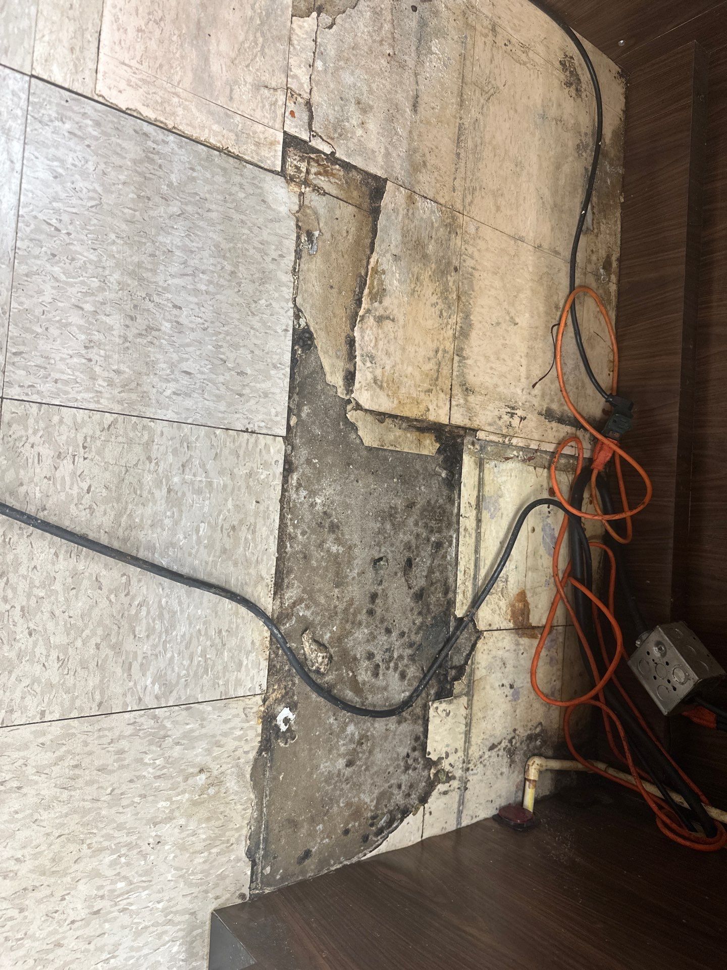 Fresco y Más Food Prep Area by Seamless Surfaces