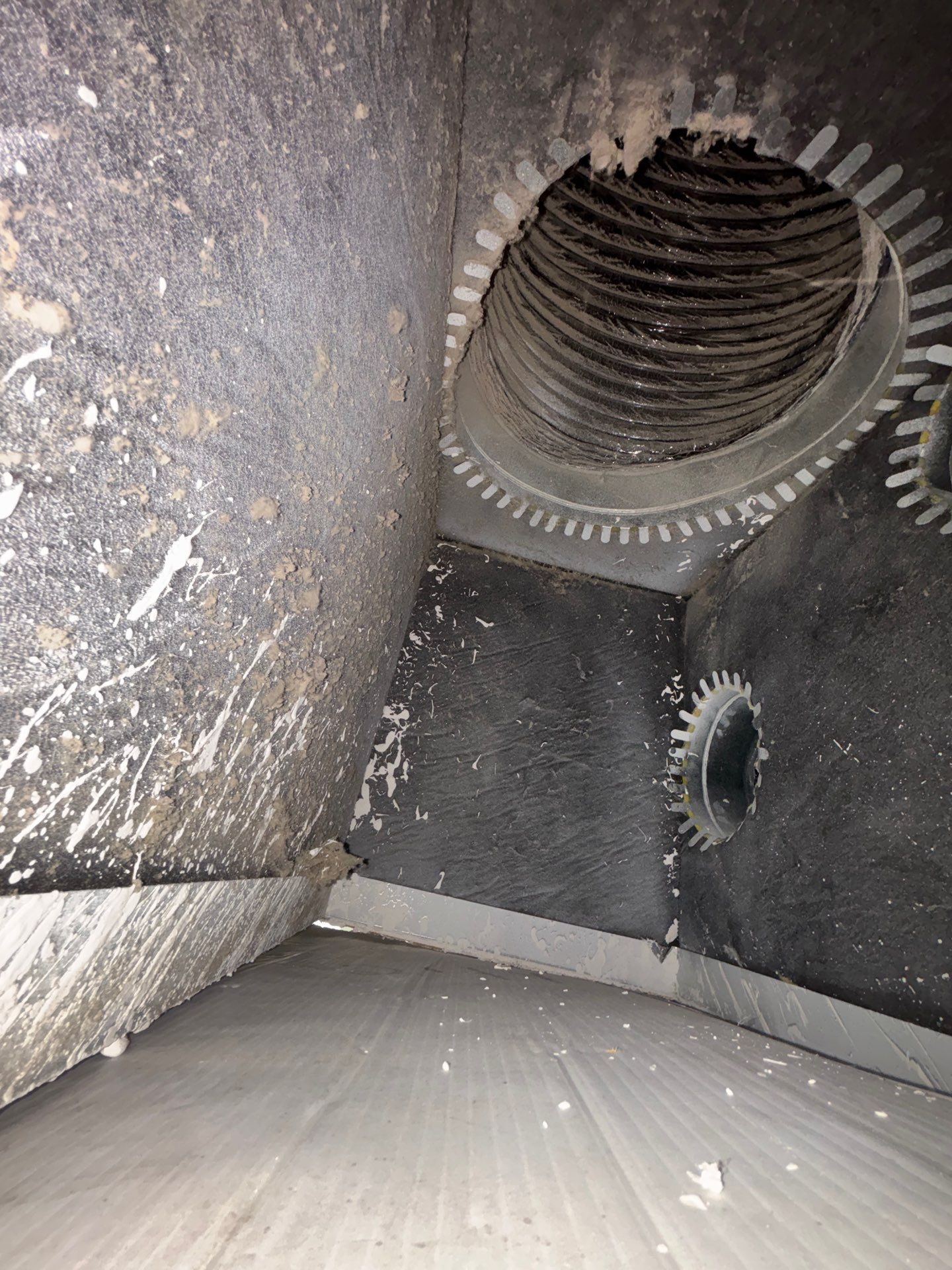 Air Duct Cleaning in Clermont by Hygienic Air, Inc